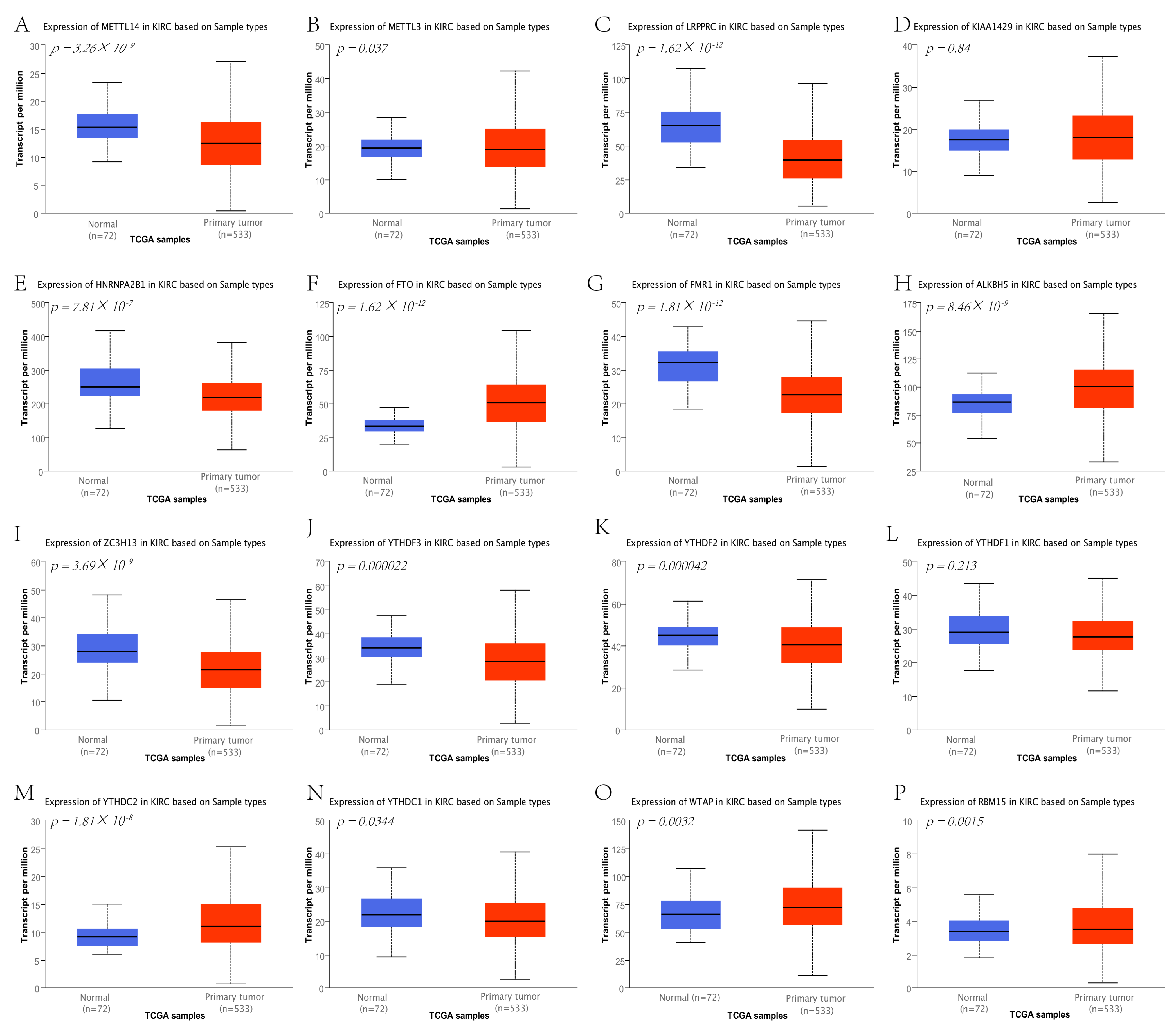 Genes 13 02059 g012 Genes 13 02059 g012