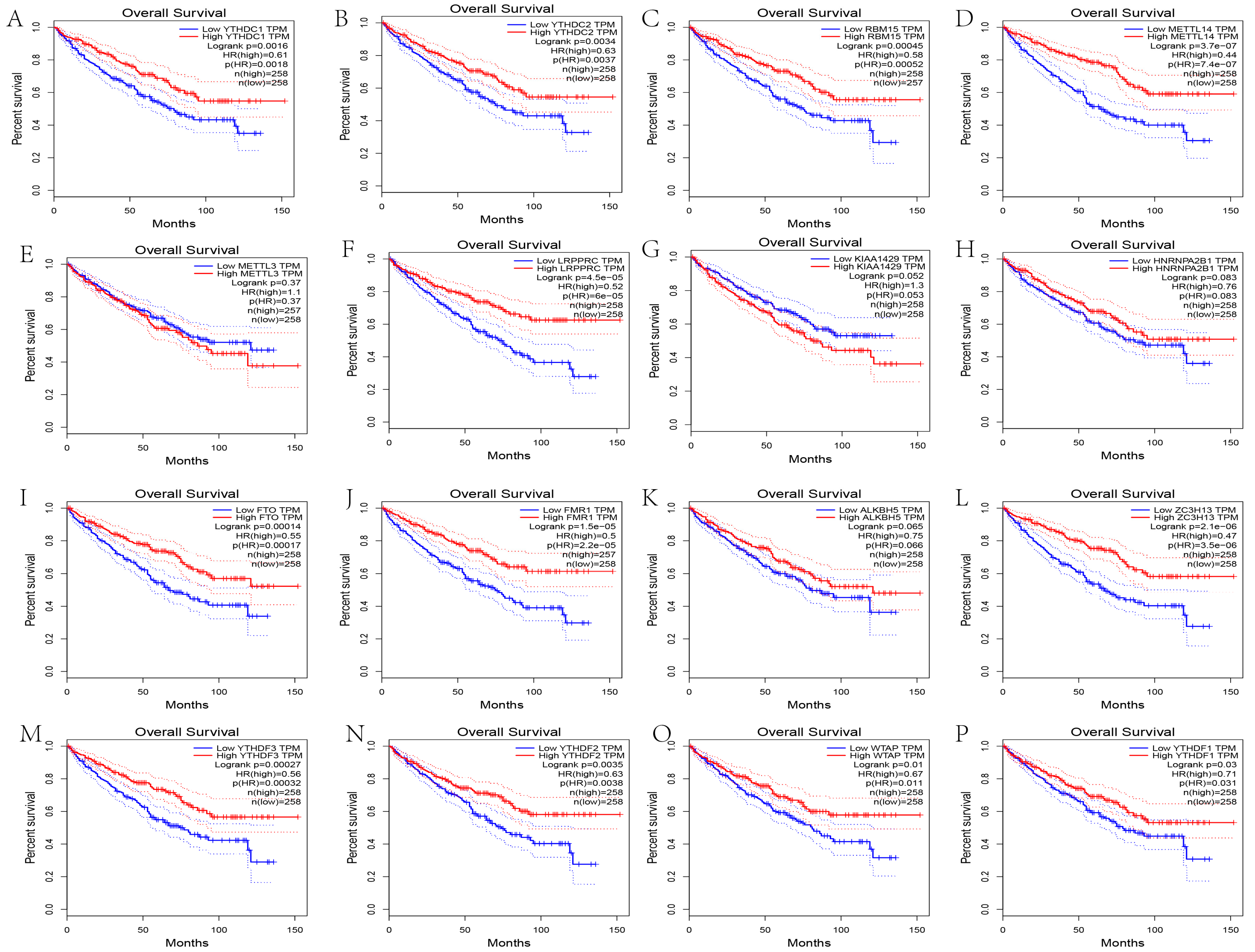 Genes 13 02059 g013 Genes 13 02059 g013