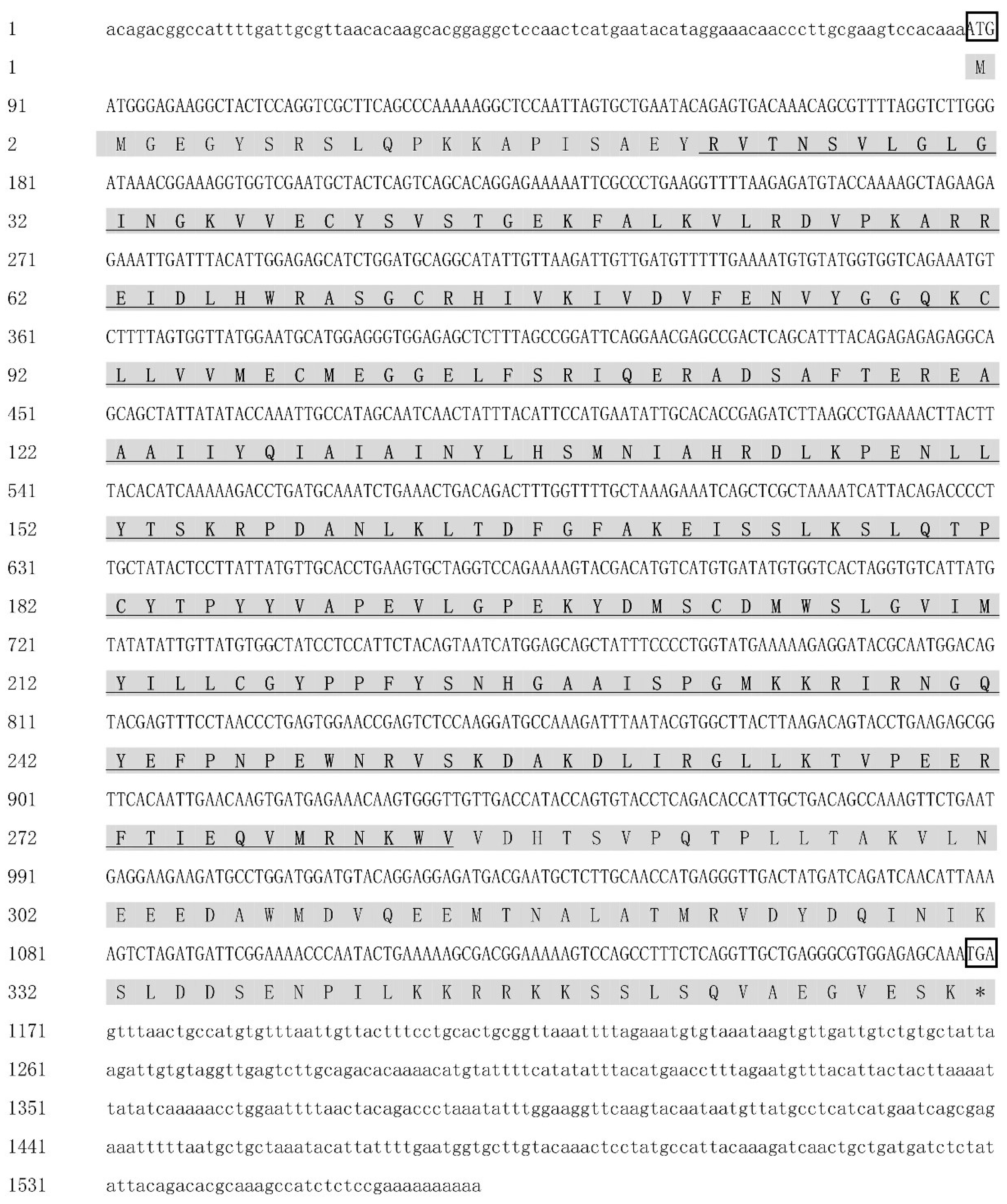 Genes 13 02060 g001 Genes 13 02060 g001