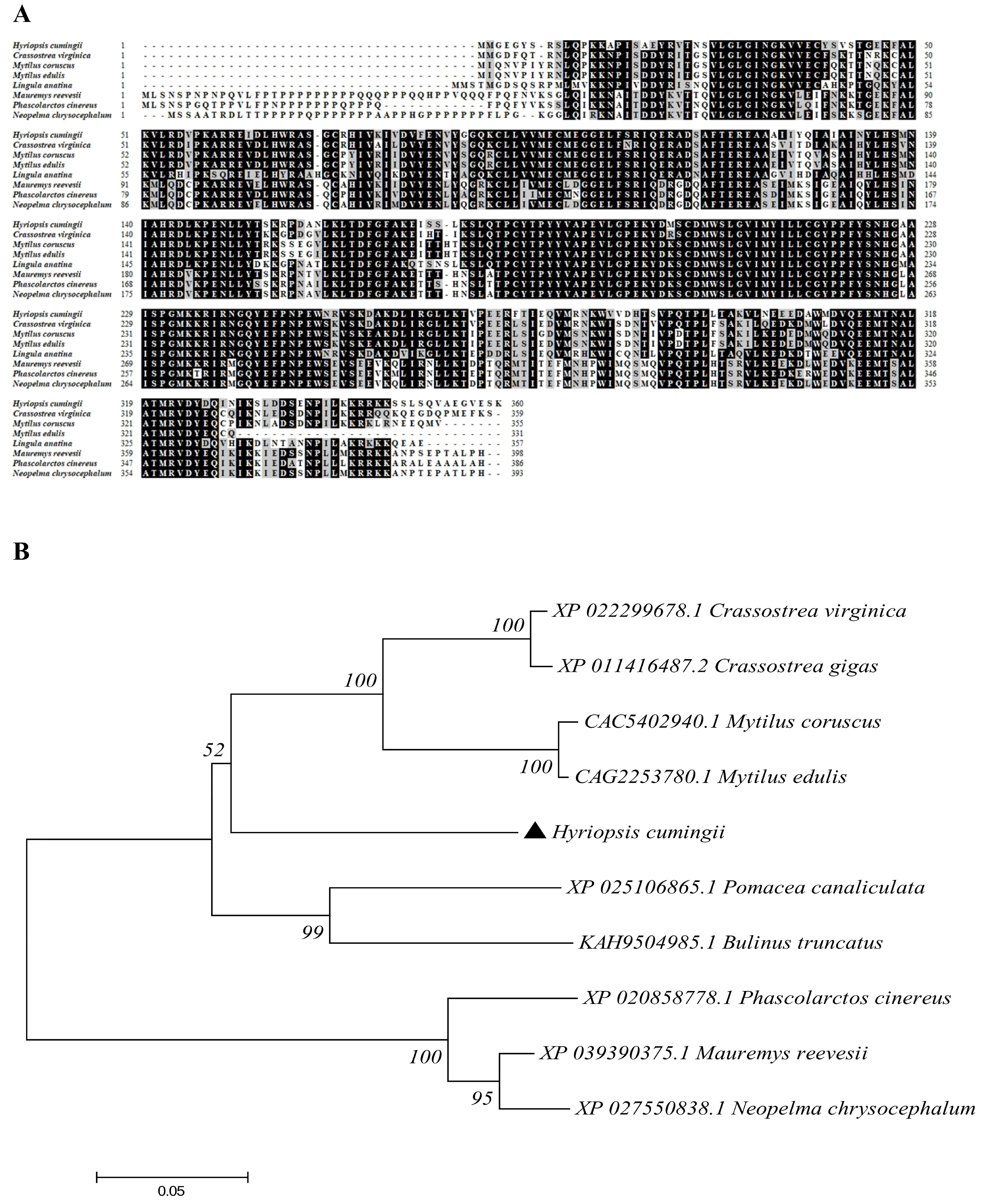 Genes 13 02060 g003 Genes 13 02060 g003