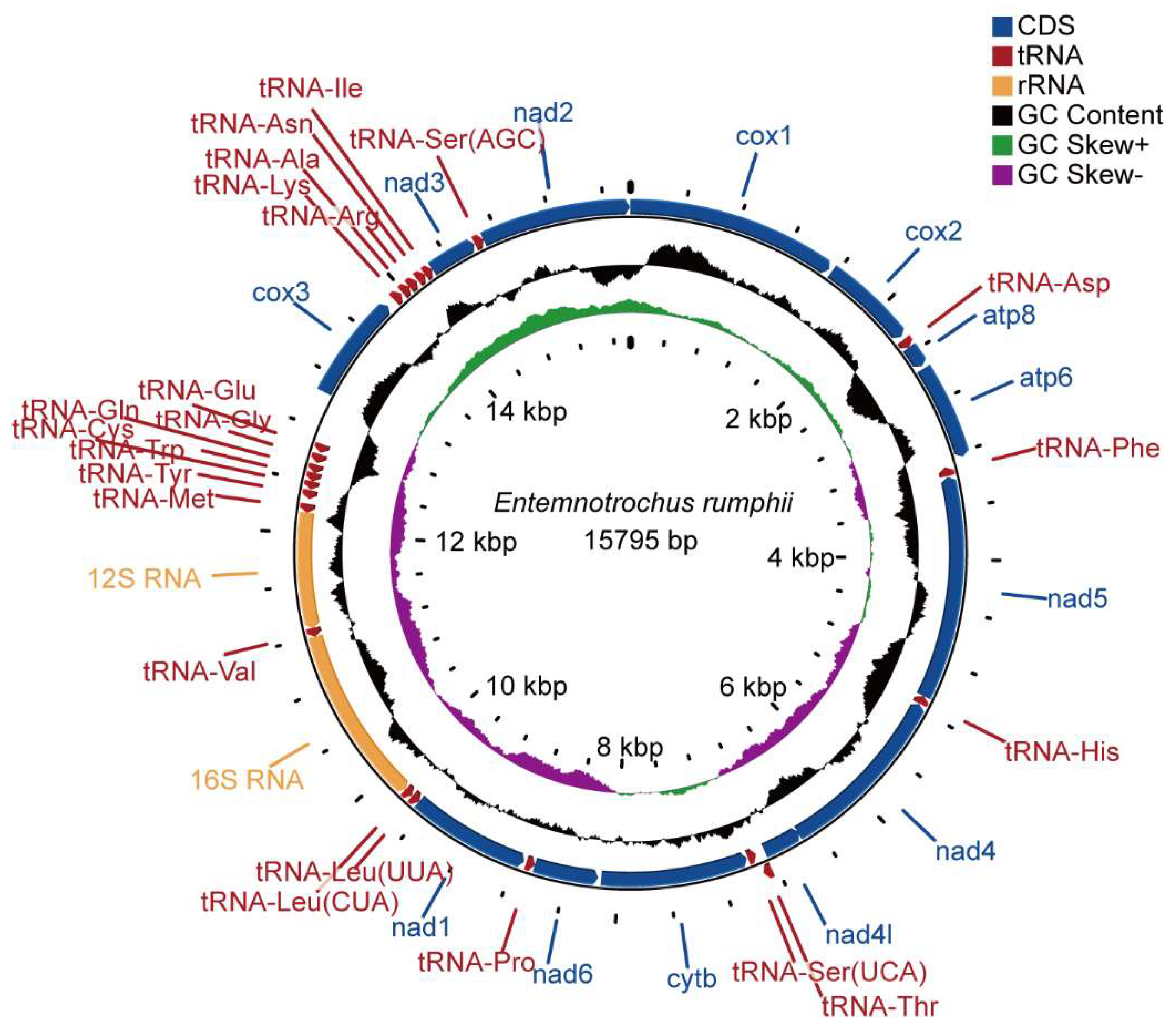 Genes 13 02061 g001 Genes 13 02061 g001