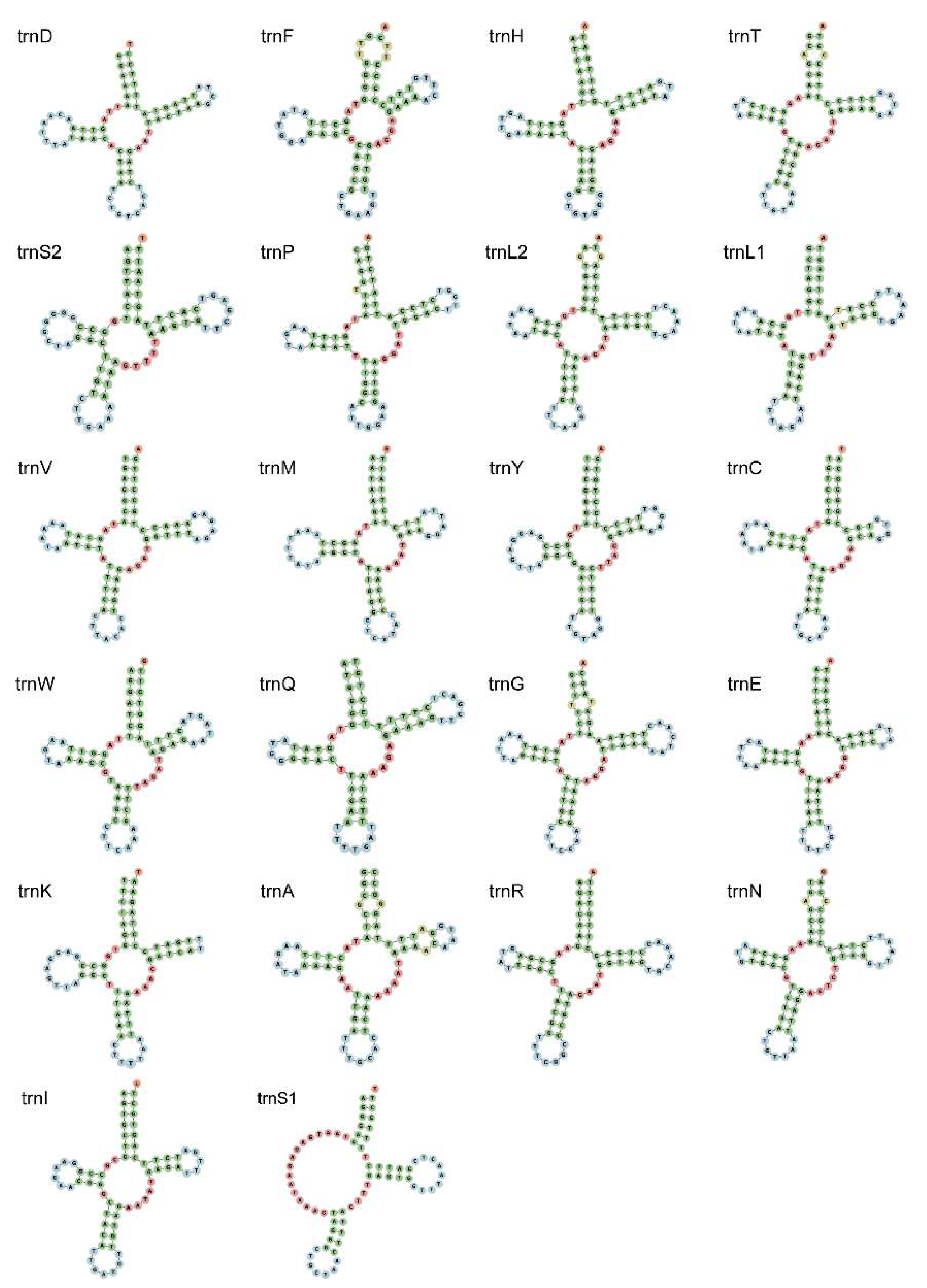 Genes 13 02061 g003 Genes 13 02061 g003