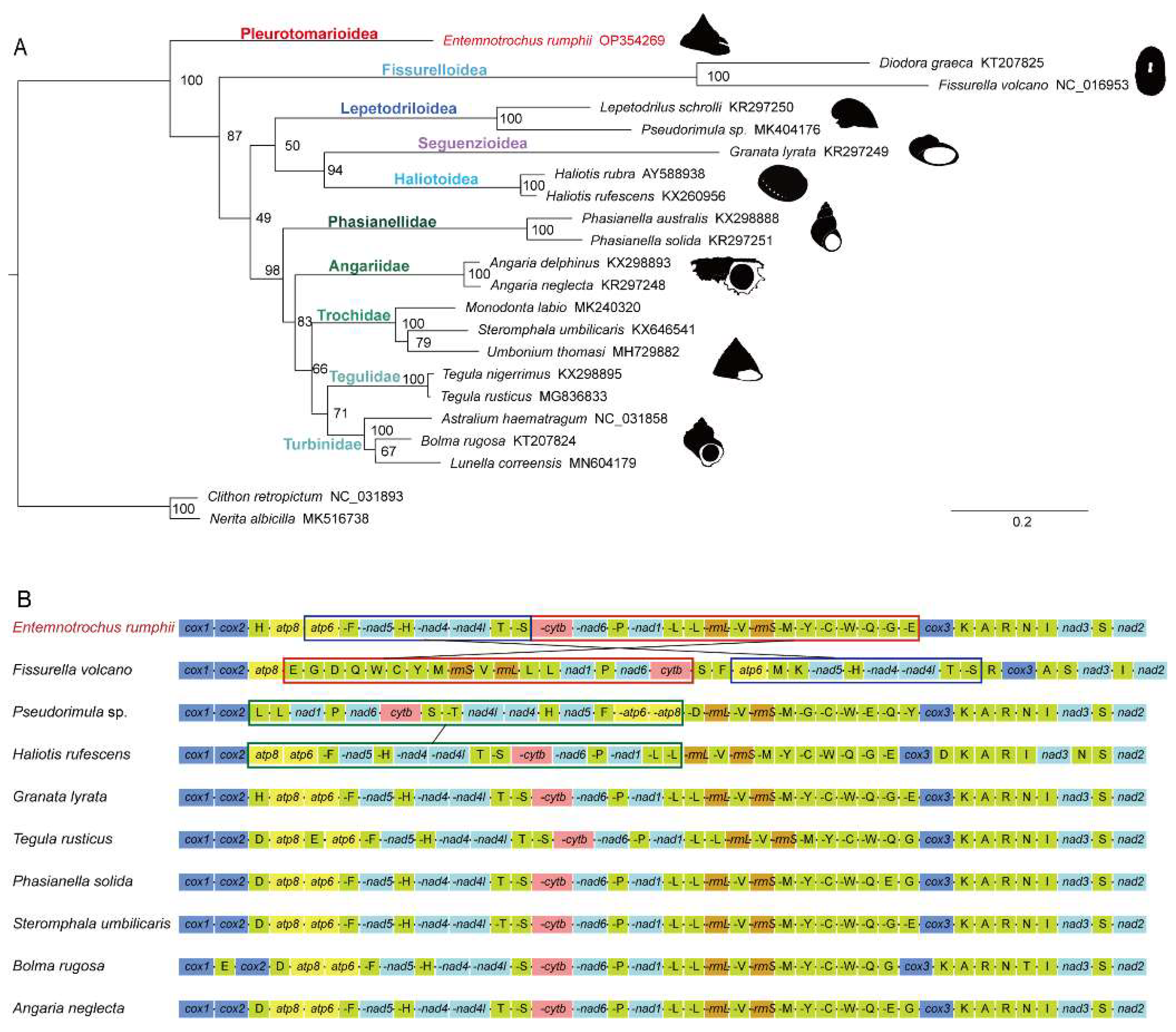 Genes 13 02061 g004 Genes 13 02061 g004