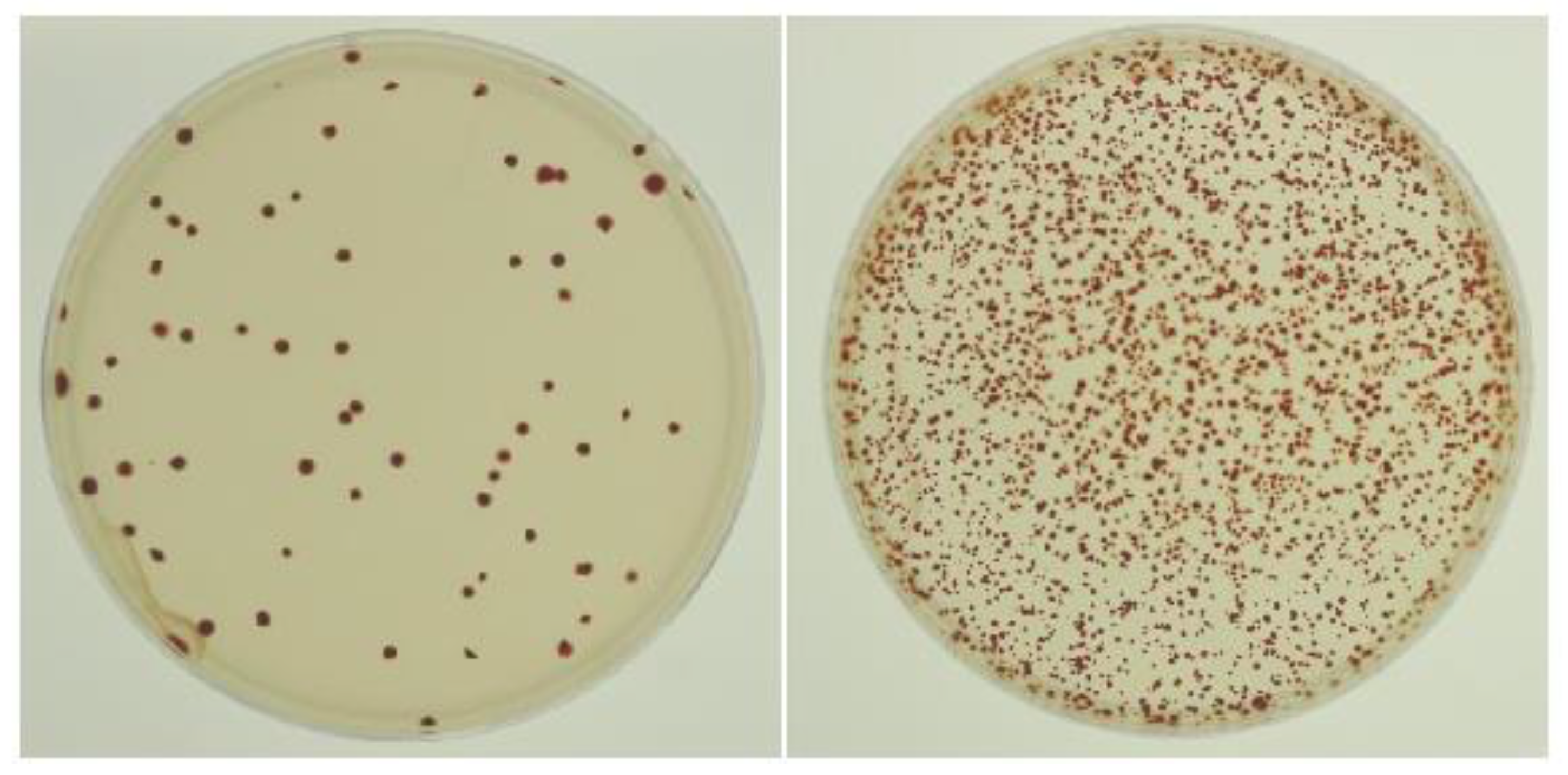 Genes 13 02071 g001 Genes 13 02071 g001