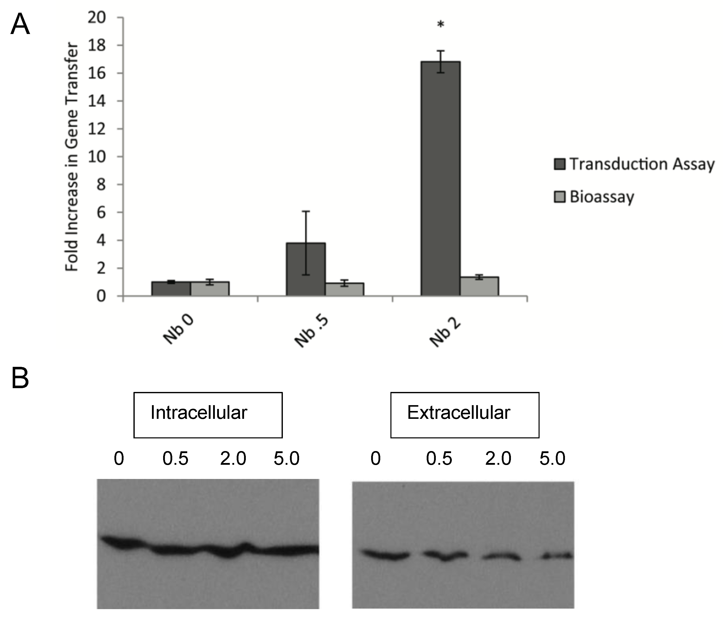 Genes 13 02071 g003 Genes 13 02071 g003