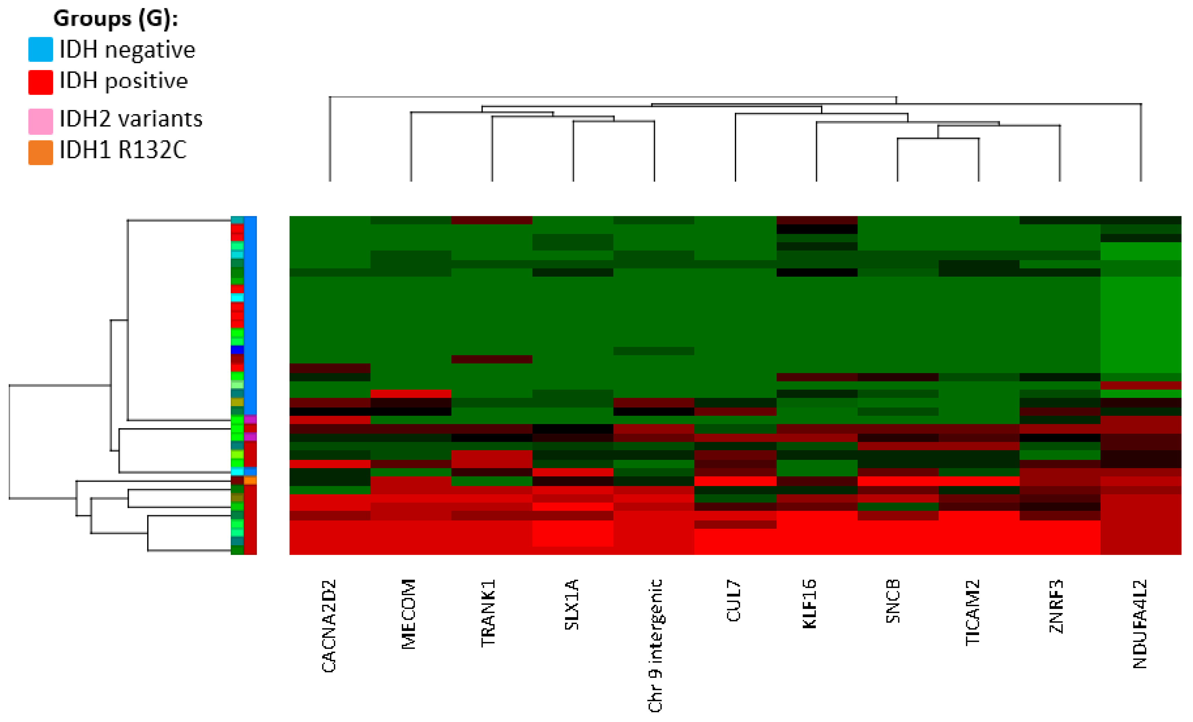 Genes | Free Full-Text | Evaluation of DNA Methylation Array for Glioma ...