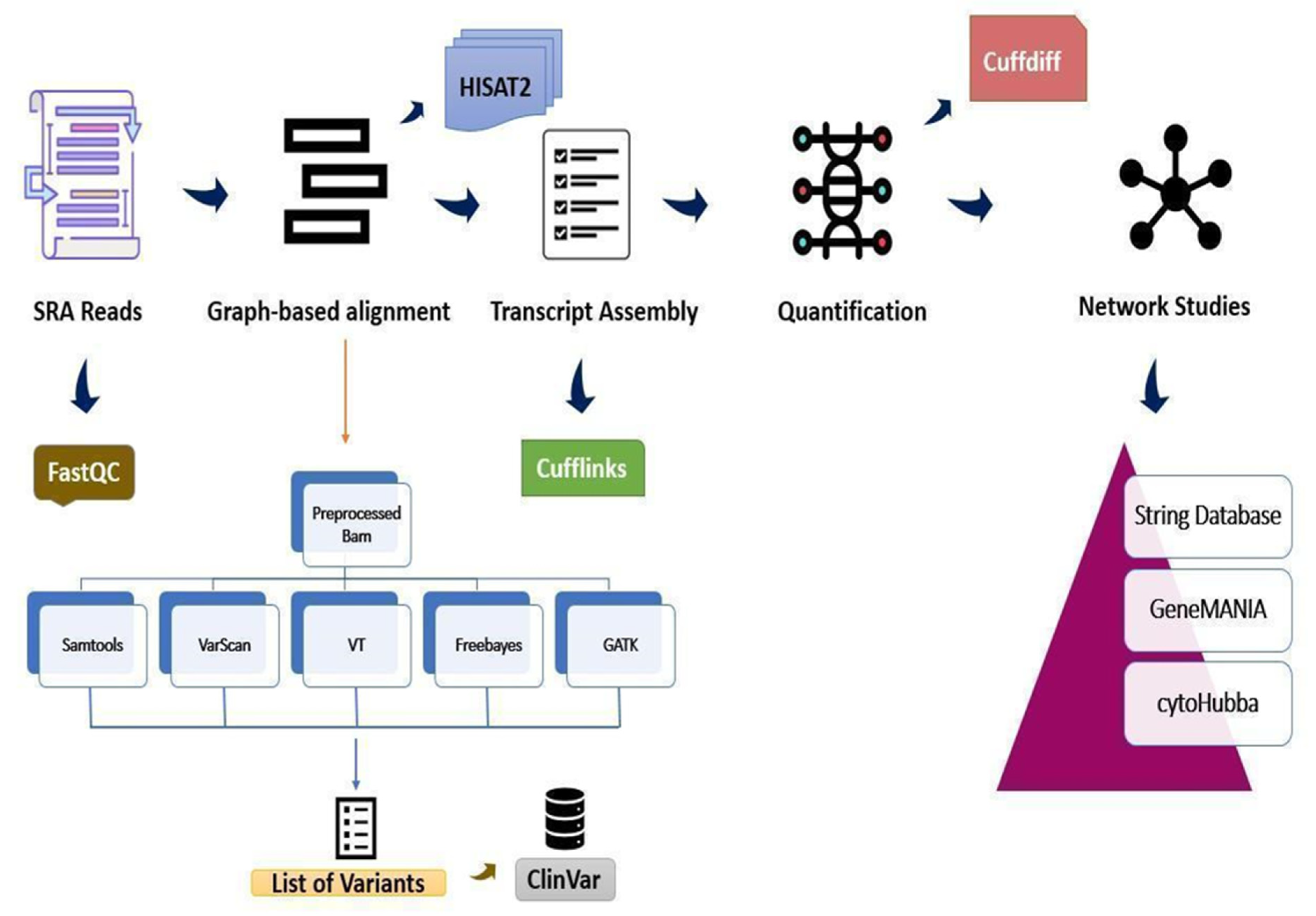Genes 13 02078 g001 Genes 13 02078 g001