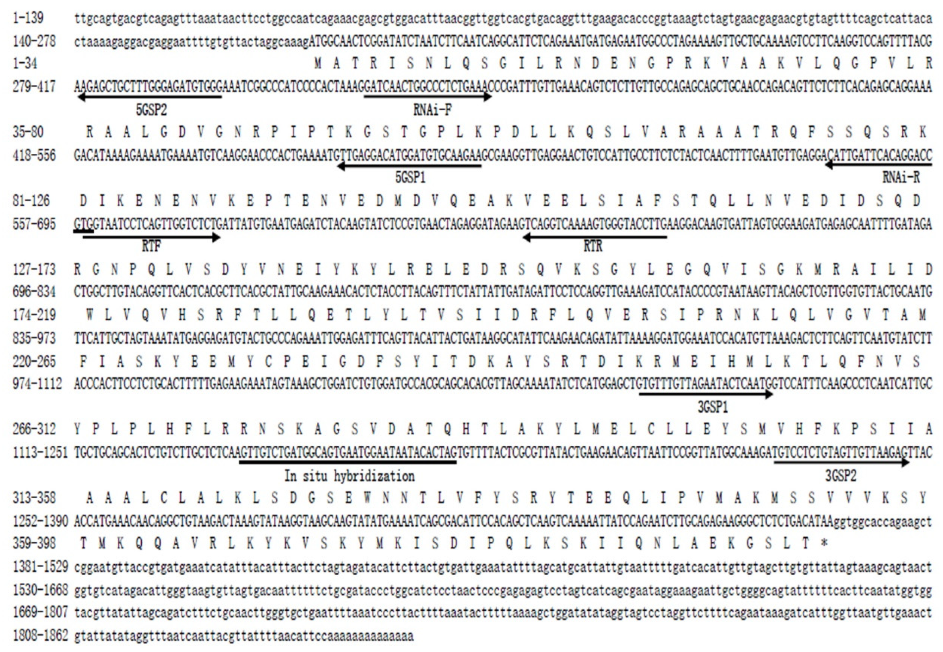 Genes 13 02079 g002 Genes 13 02079 g002
