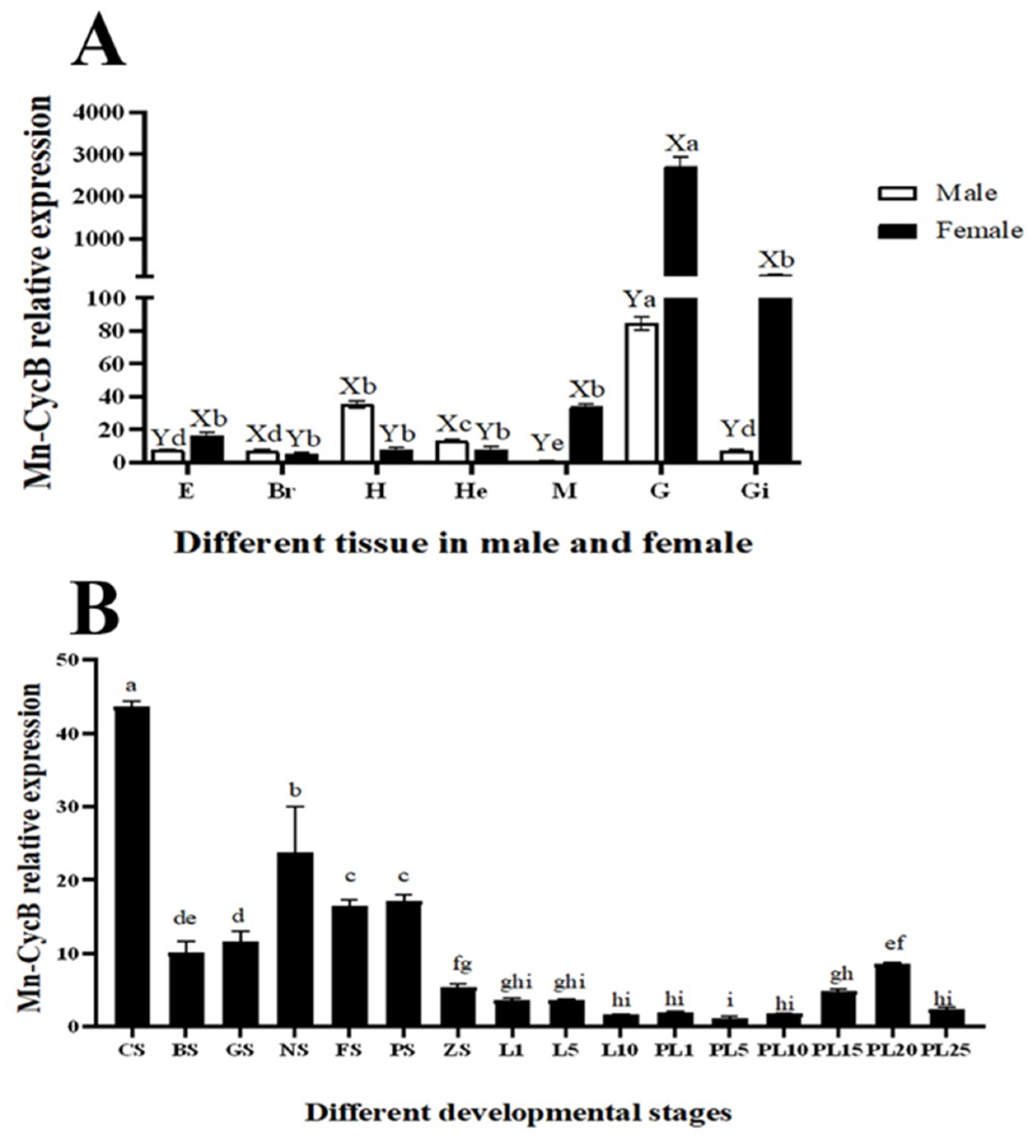 Genes 13 02079 g005 Genes 13 02079 g005
