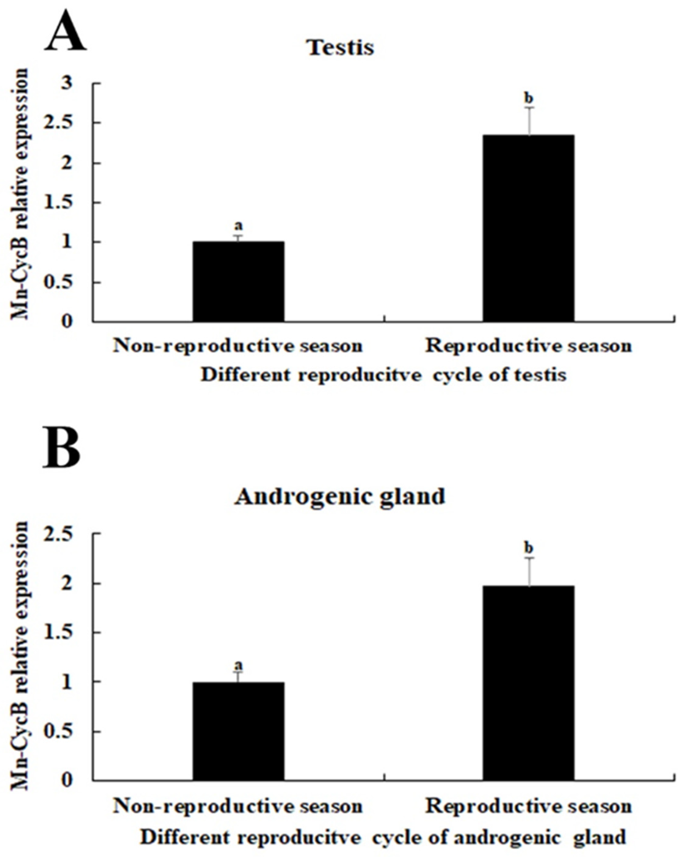Genes 13 02079 g006 Genes 13 02079 g006