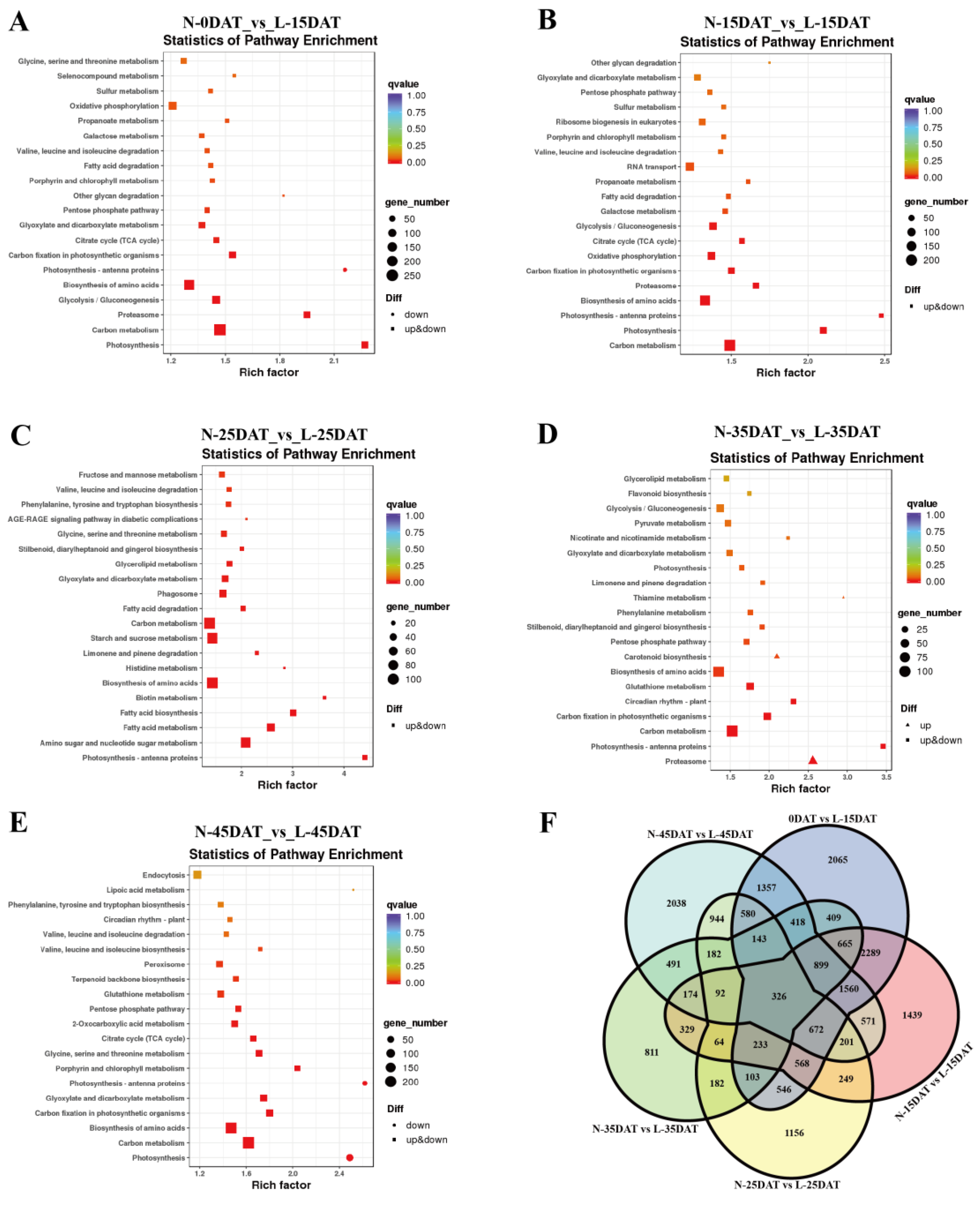 Genes 13 02084 g001 Genes 13 02084 g001