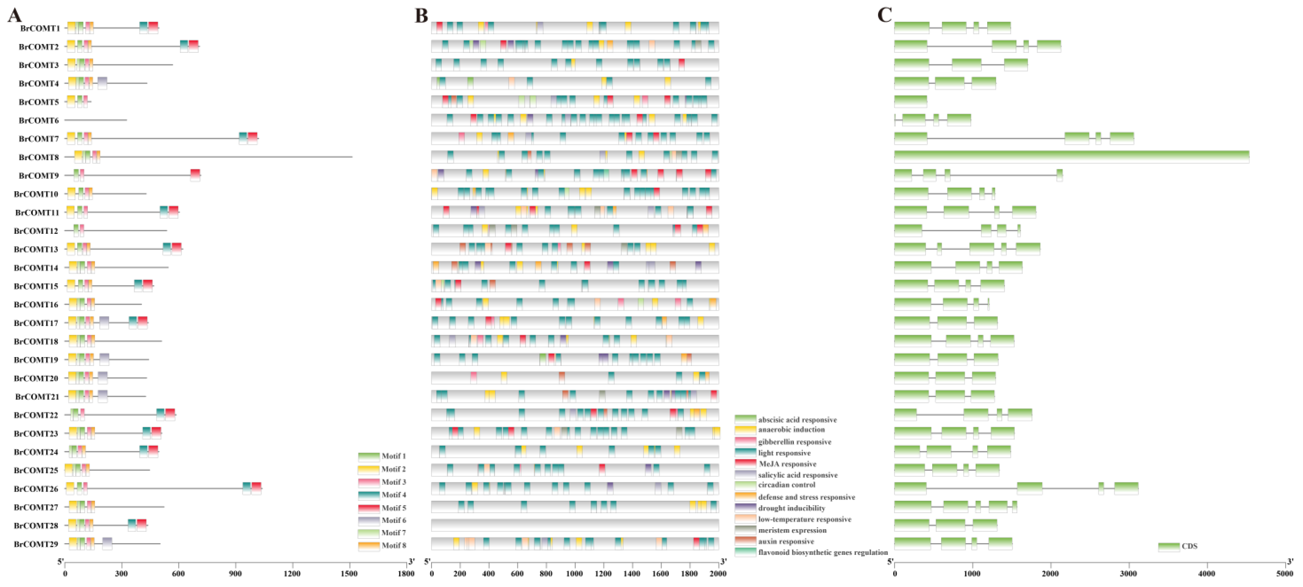 Genes 13 02084 g007 Genes 13 02084 g007