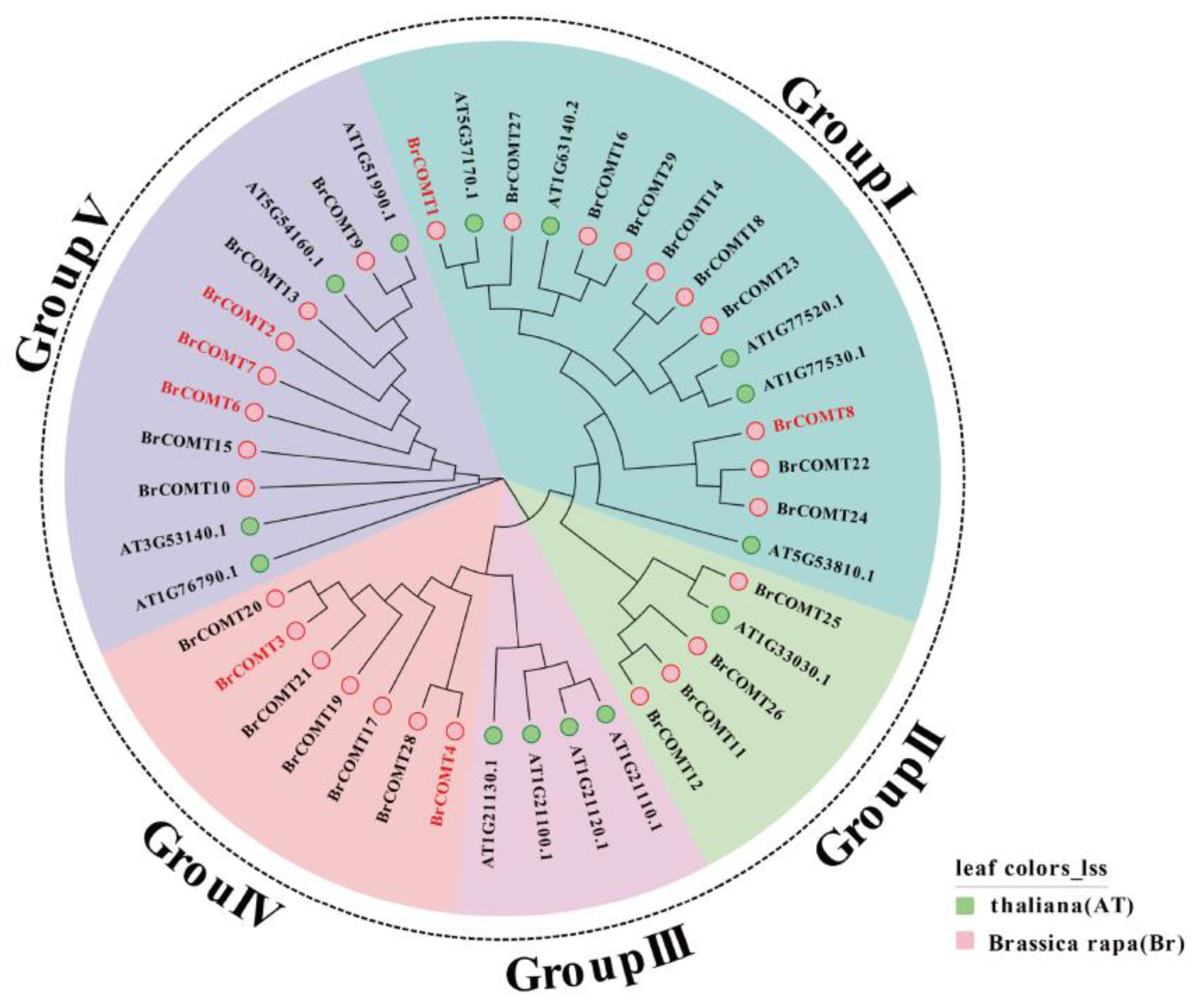 Genes 13 02084 g008 Genes 13 02084 g008
