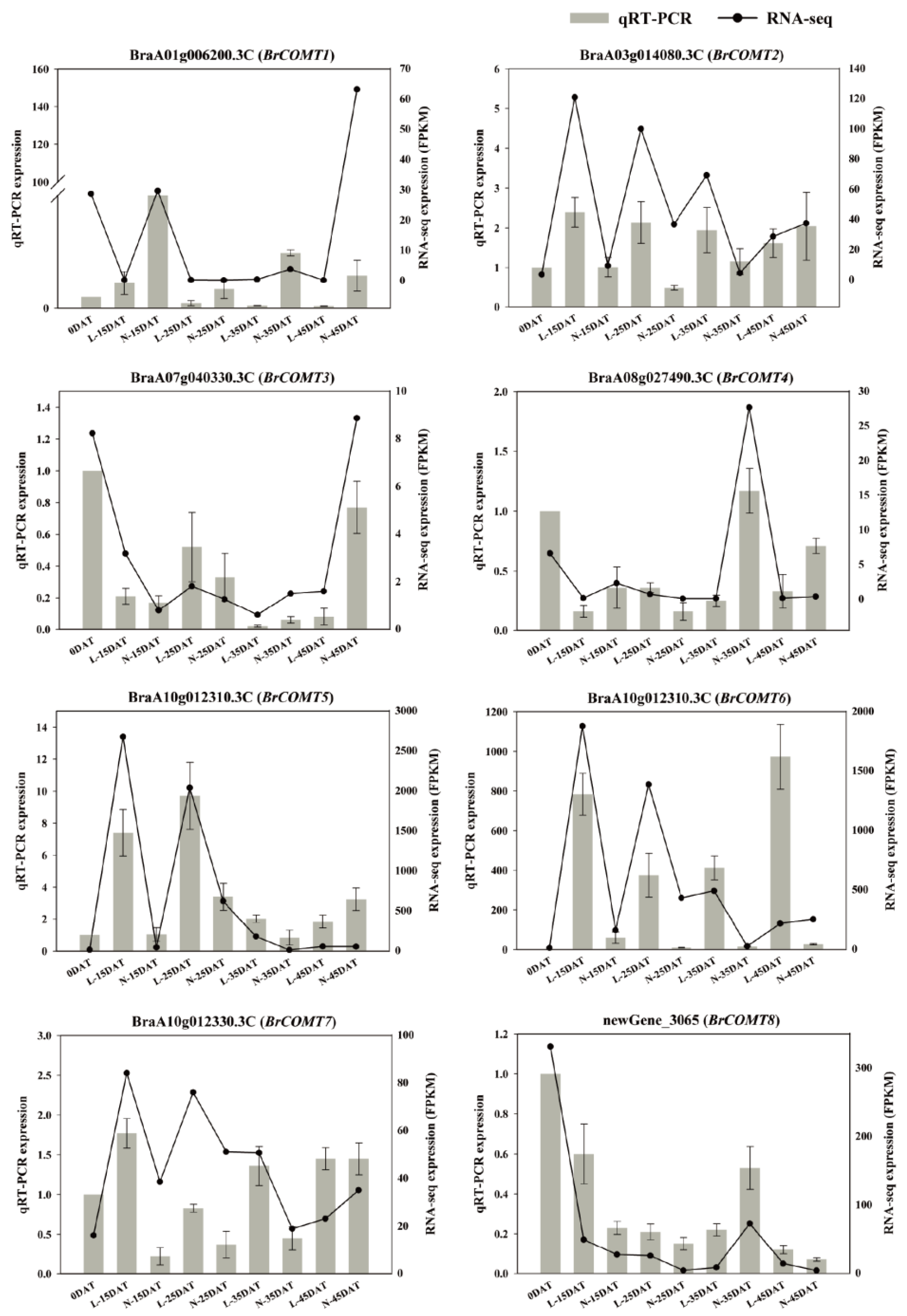 Genes 13 02084 g009 Genes 13 02084 g009