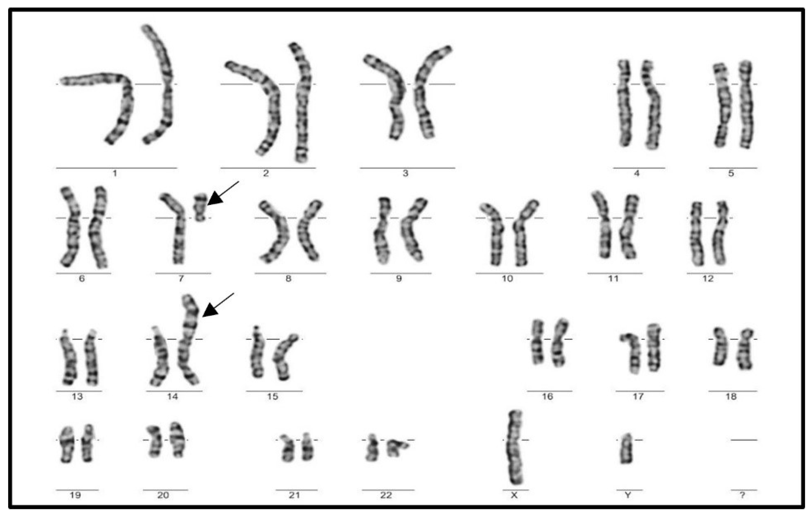 Genes 13 02086 g003 Genes 13 02086 g003