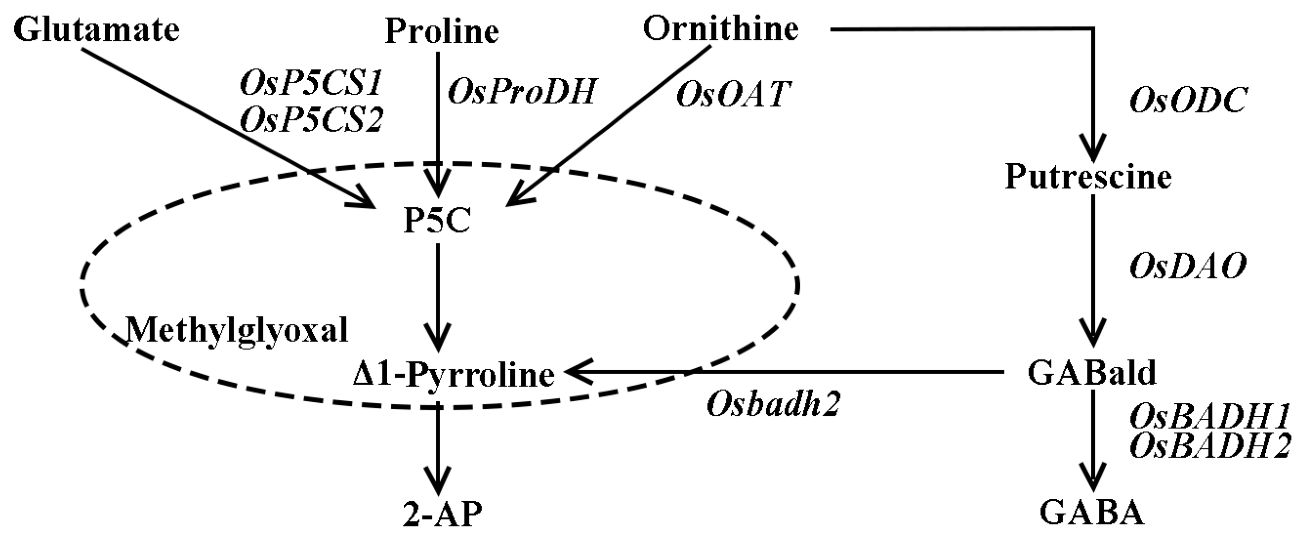 Genes 13 02092 g001 Genes 13 02092 g001