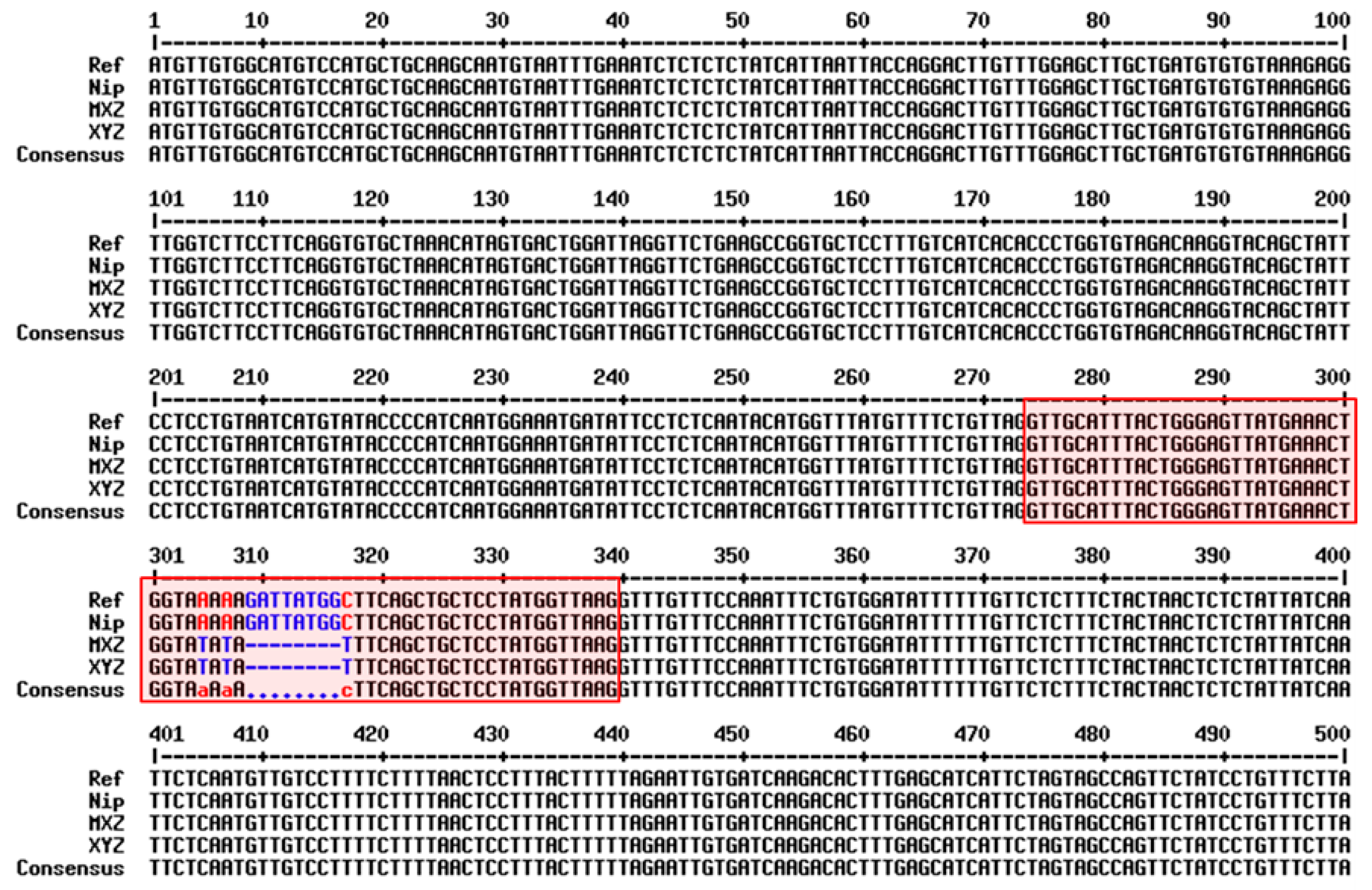 Genes 13 02092 g002 Genes 13 02092 g002