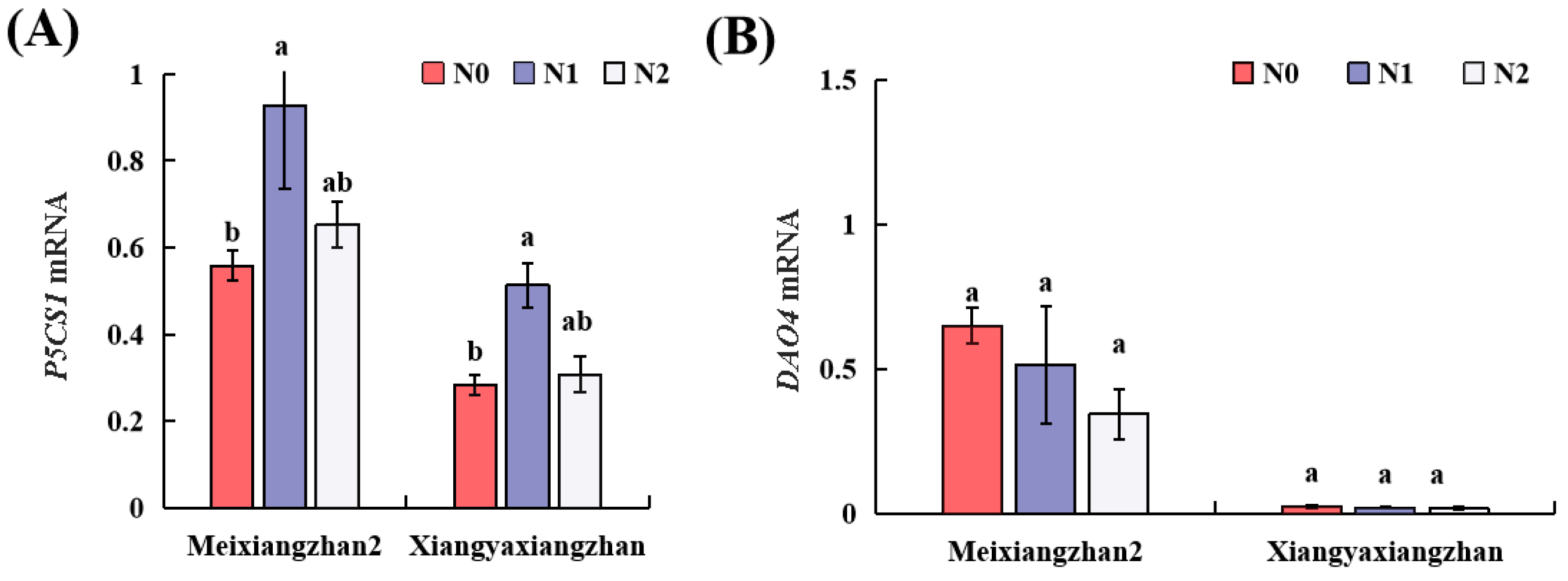 Genes 13 02092 g004 Genes 13 02092 g004