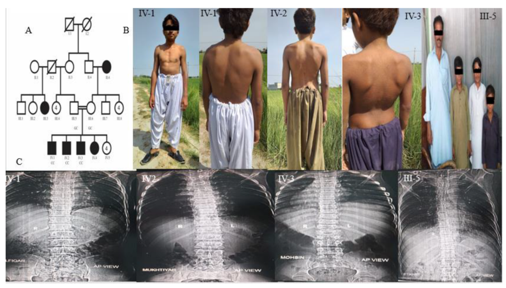 Genes 13 02096 g001 Genes 13 02096 g001