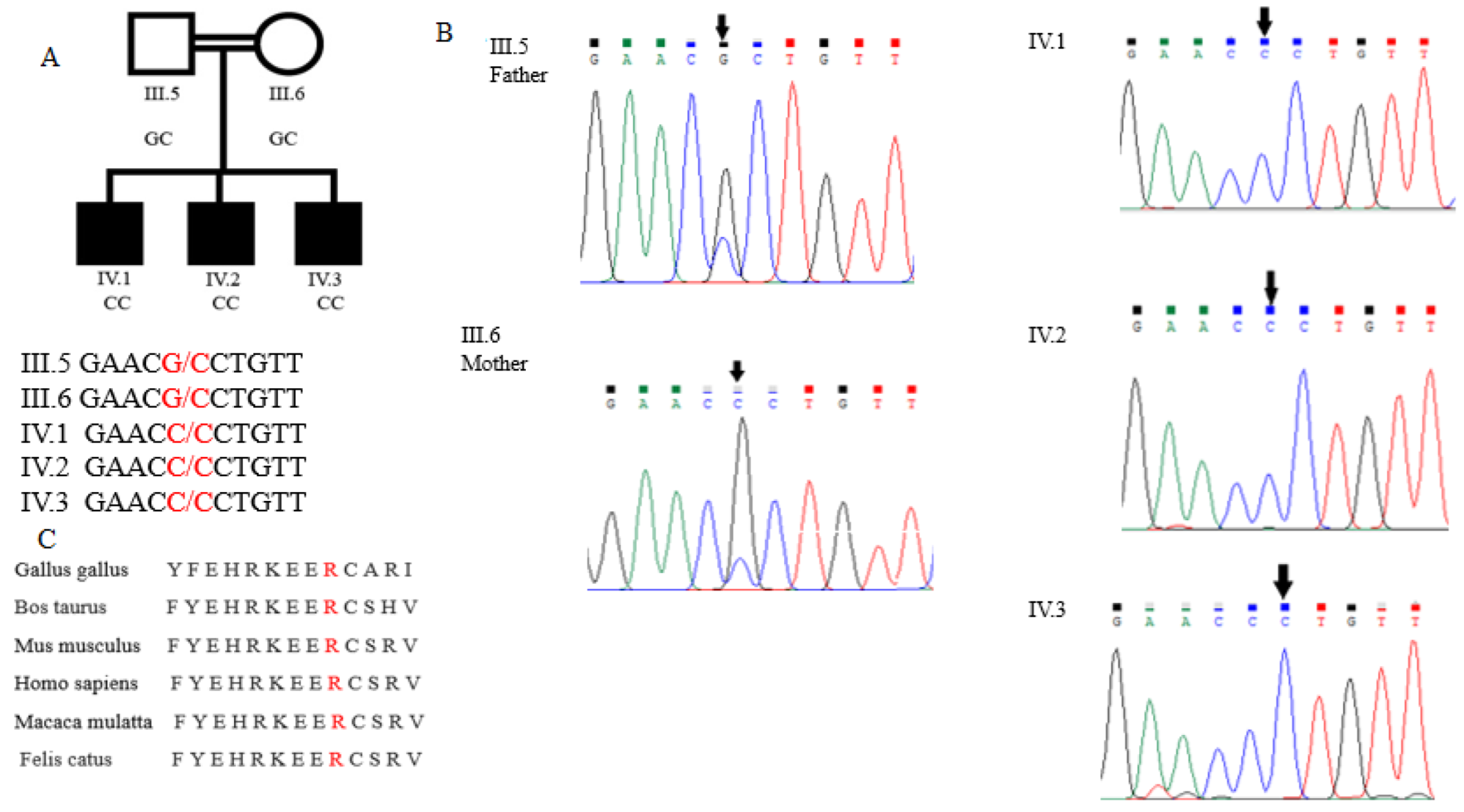 Genes 13 02096 g002 Genes 13 02096 g002