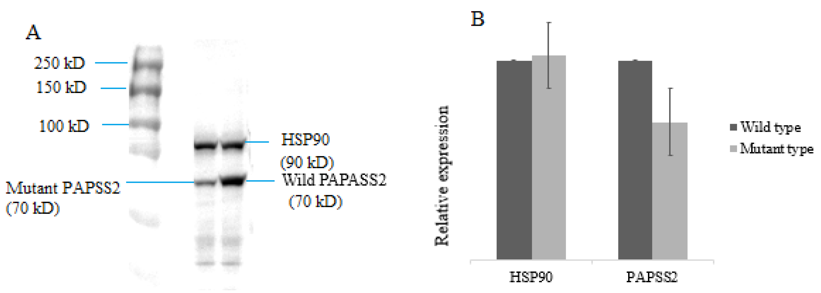Genes 13 02096 g003 Genes 13 02096 g003