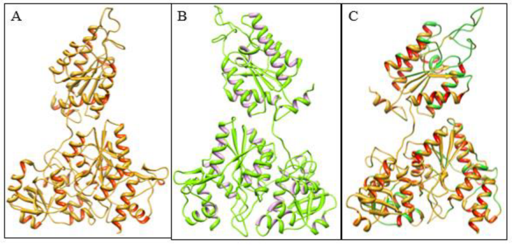 Genes 13 02096 g004 Genes 13 02096 g004