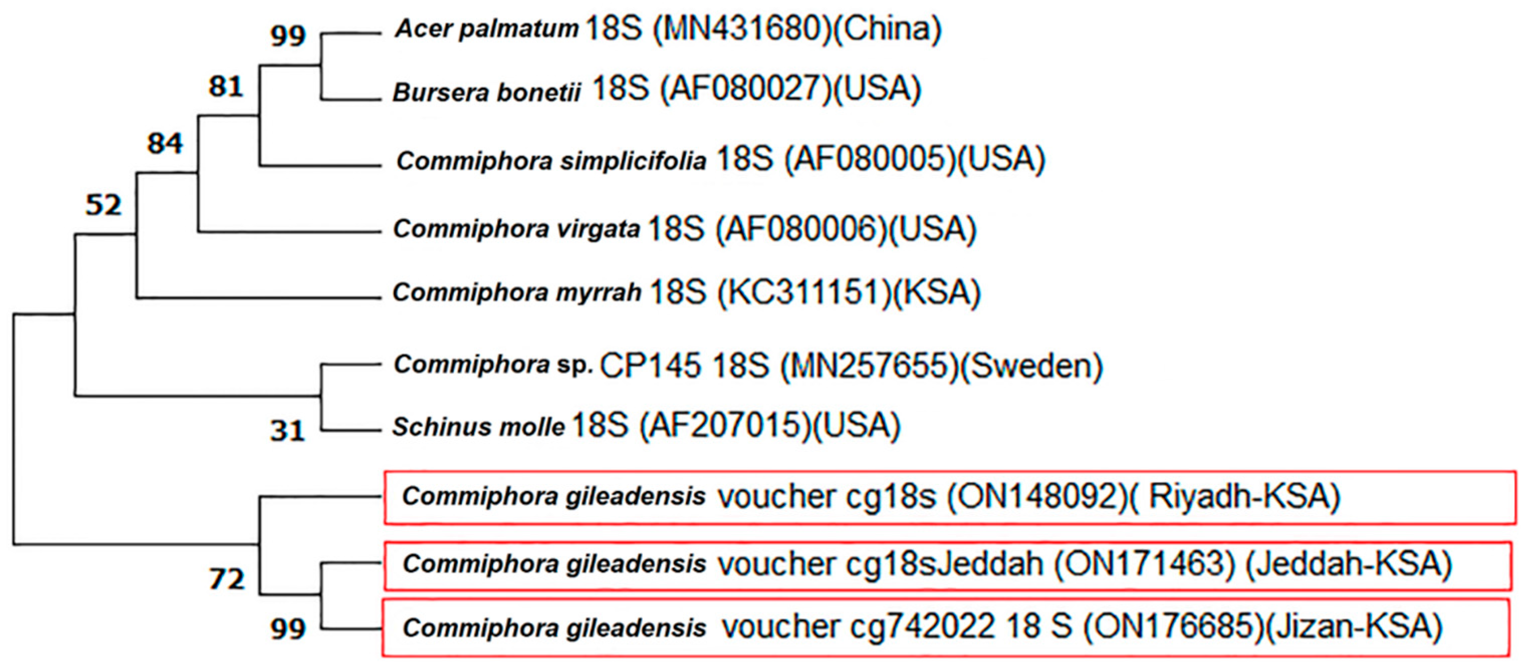 Genes 13 02099 g002 Genes 13 02099 g002