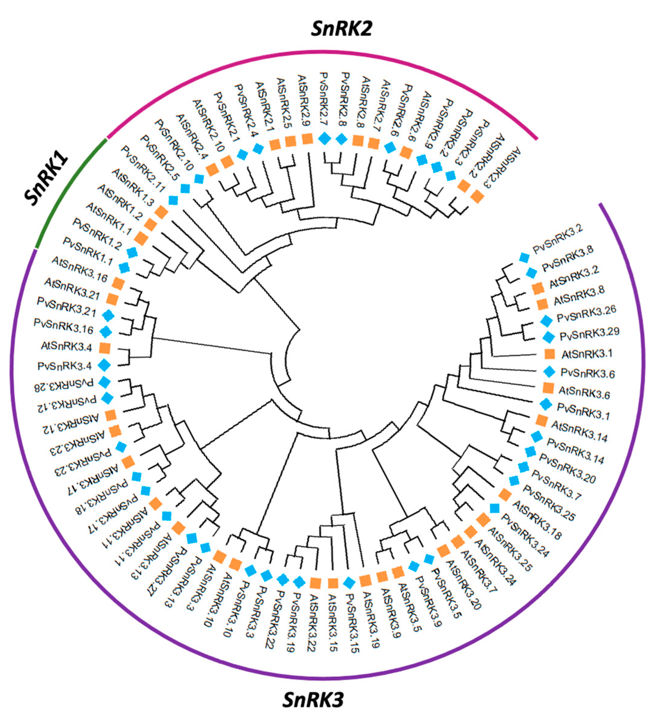 Genes 13 02107 g001 Genes 13 02107 g001