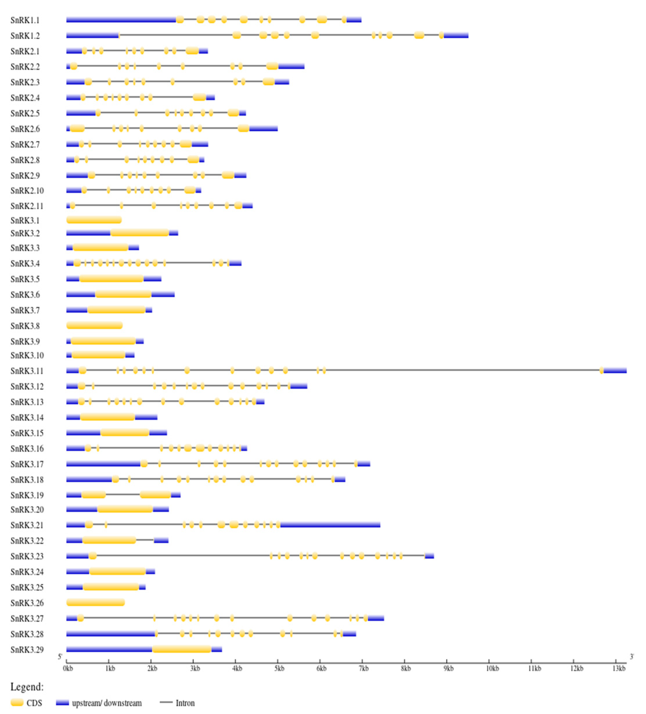 Genes 13 02107 g003 Genes 13 02107 g003