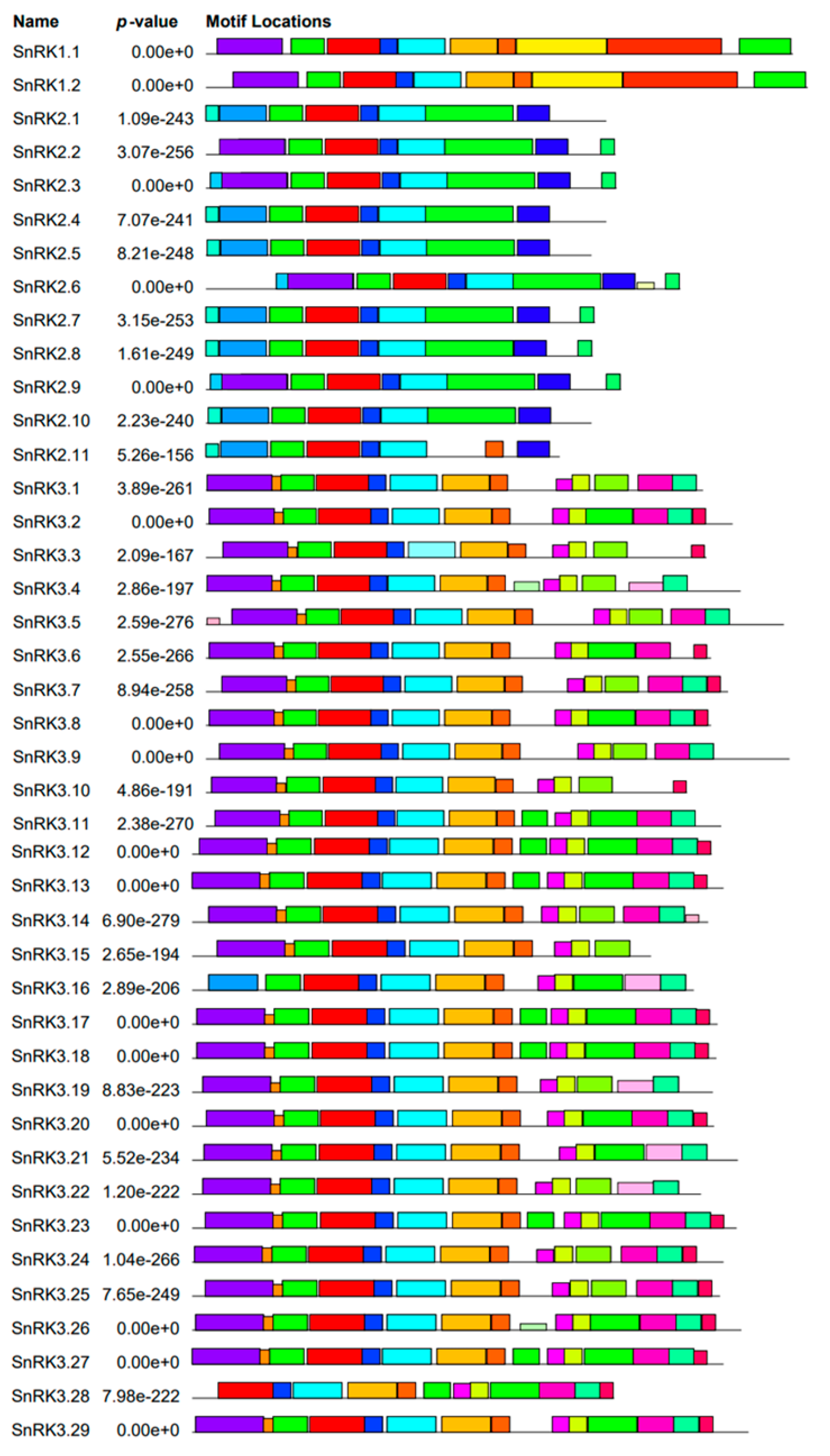 Genes 13 02107 g004 Genes 13 02107 g004
