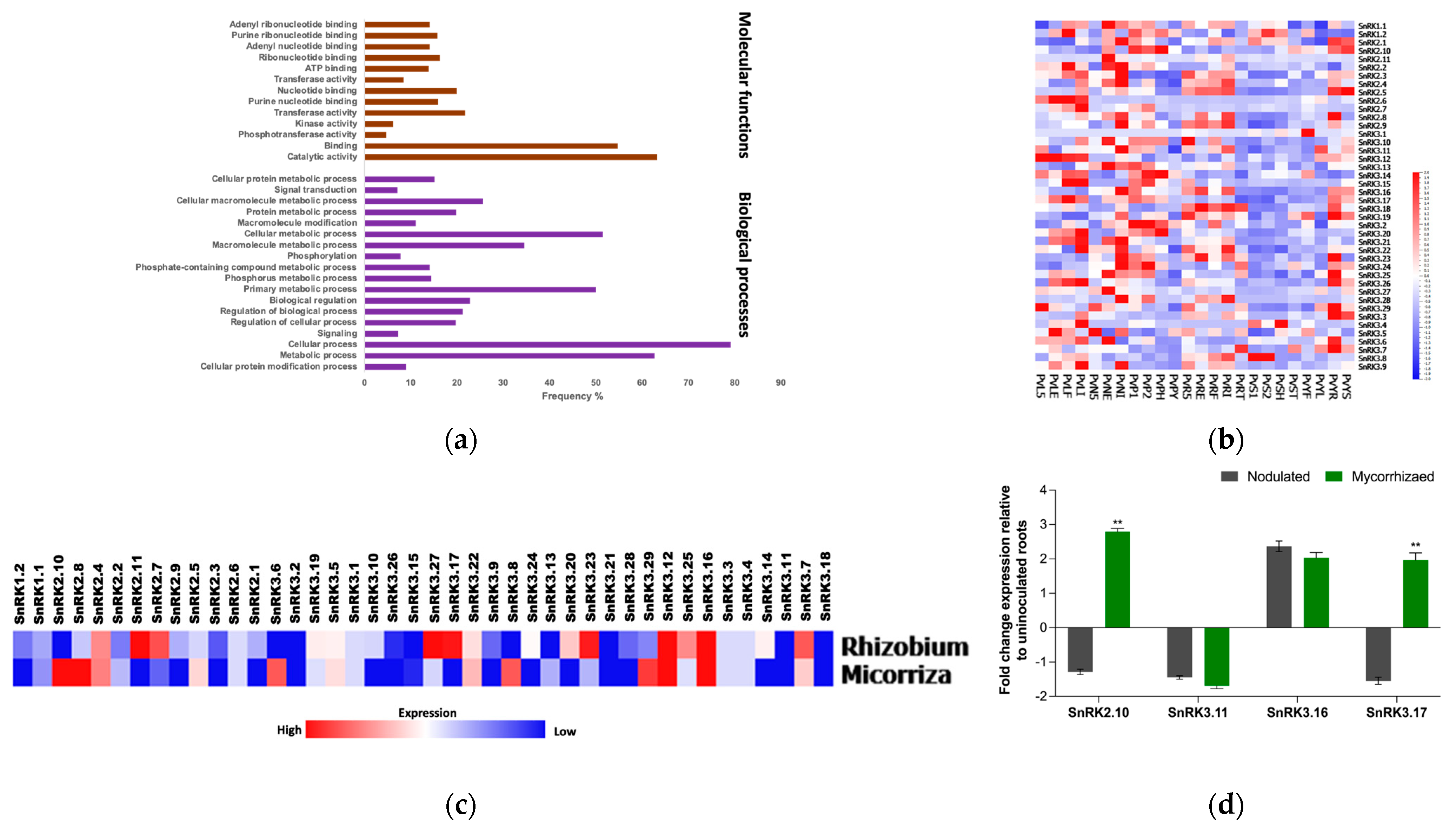 Genes 13 02107 g006 Genes 13 02107 g006