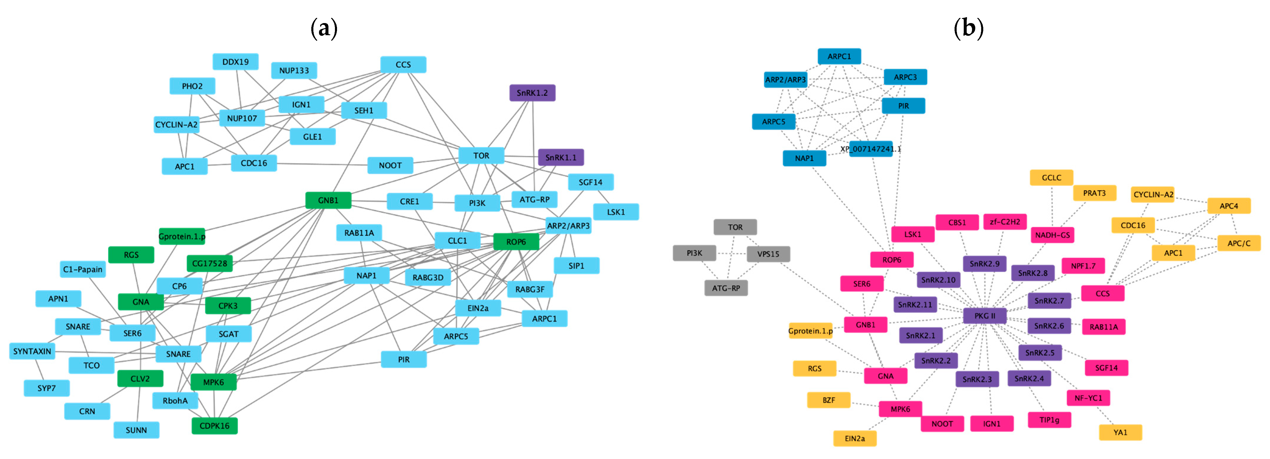 Genes 13 02107 g008 Genes 13 02107 g008
