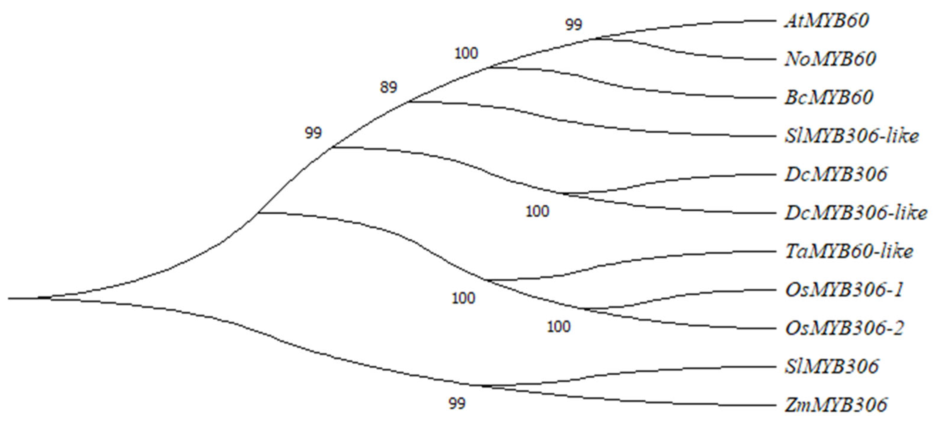 Genes 13 02109 g002 Genes 13 02109 g002
