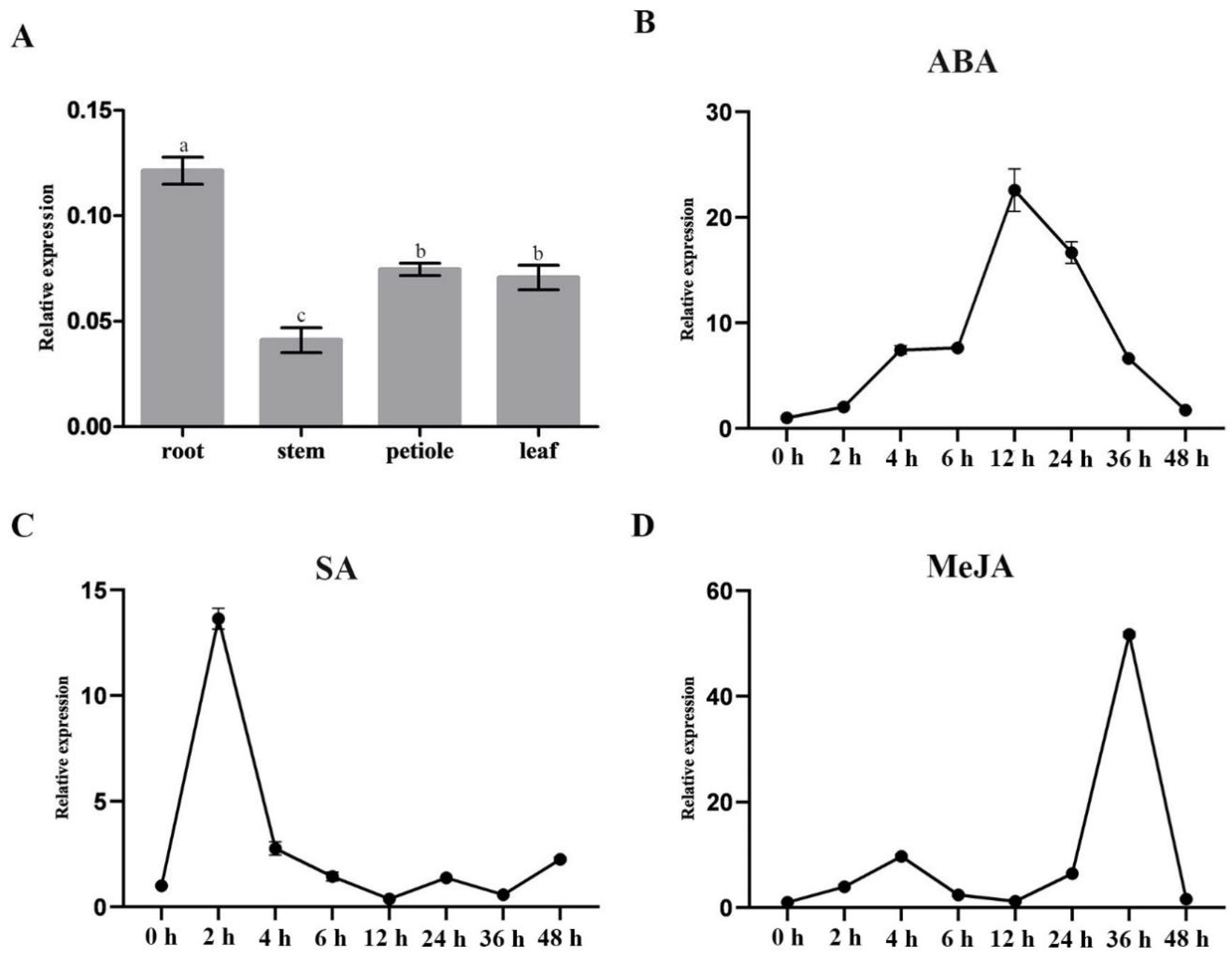 Genes 13 02109 g003 Genes 13 02109 g003