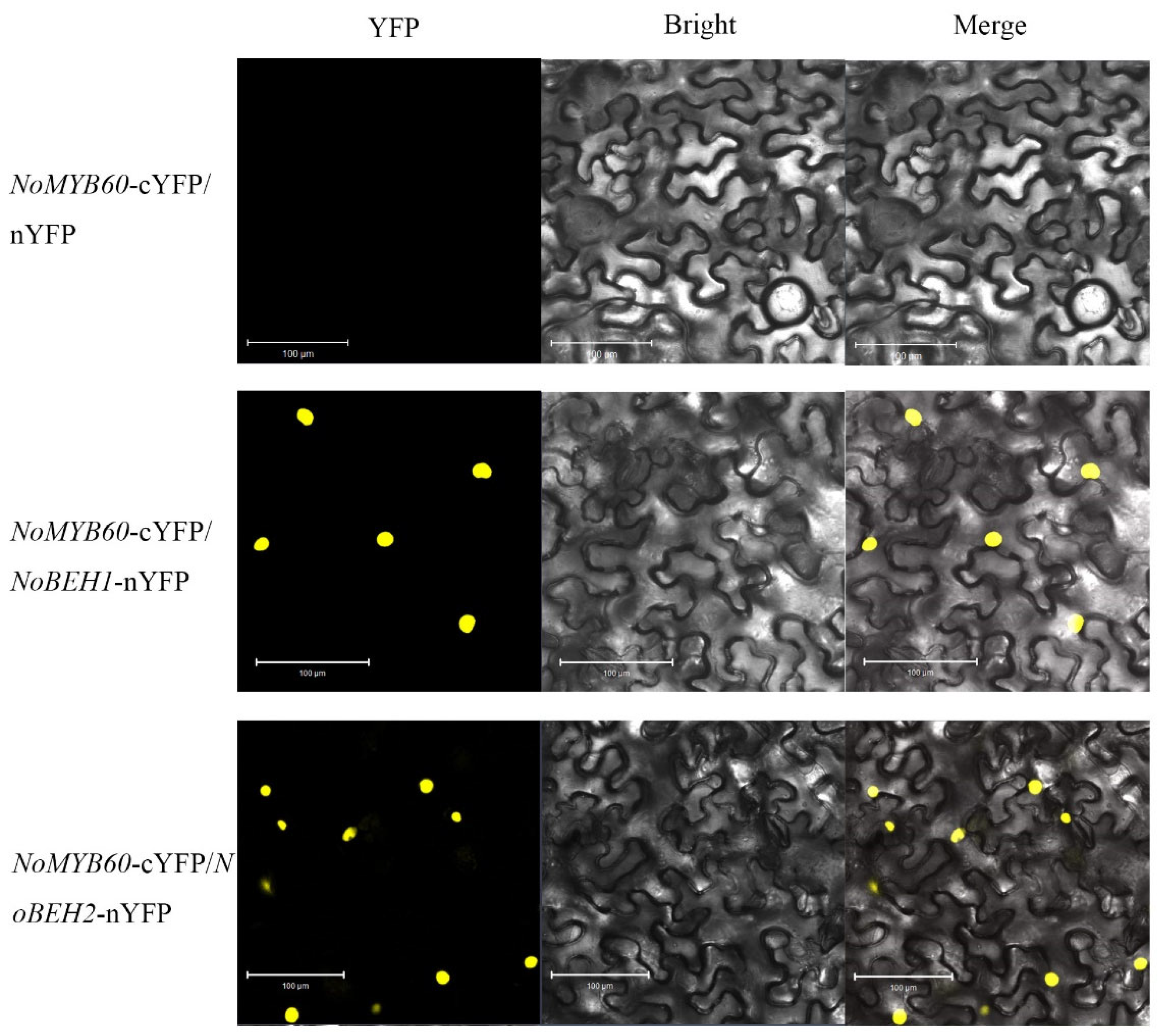 Genes 13 02109 g009 Genes 13 02109 g009