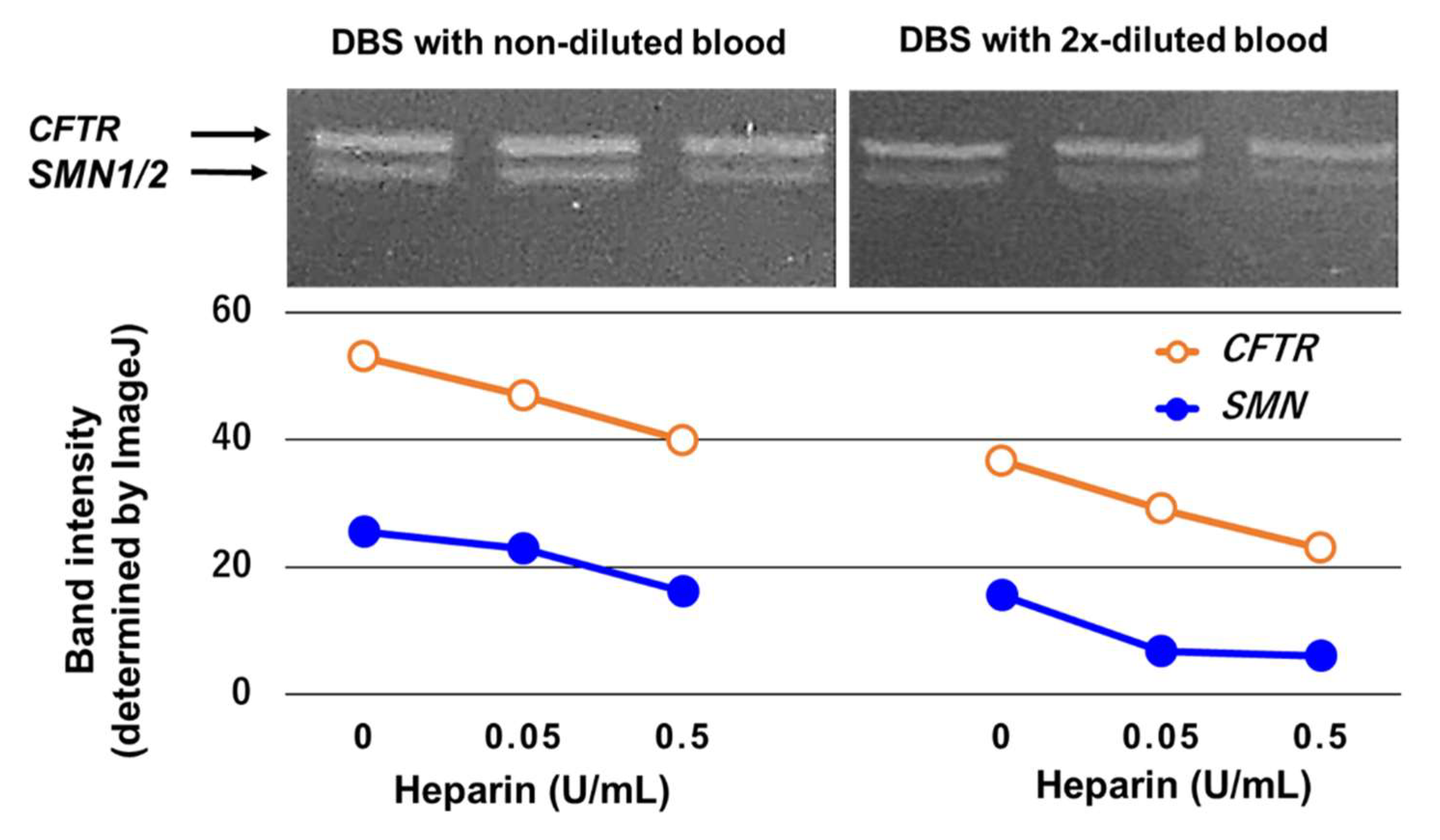 Genes 13 02110 g001 Genes 13 02110 g001