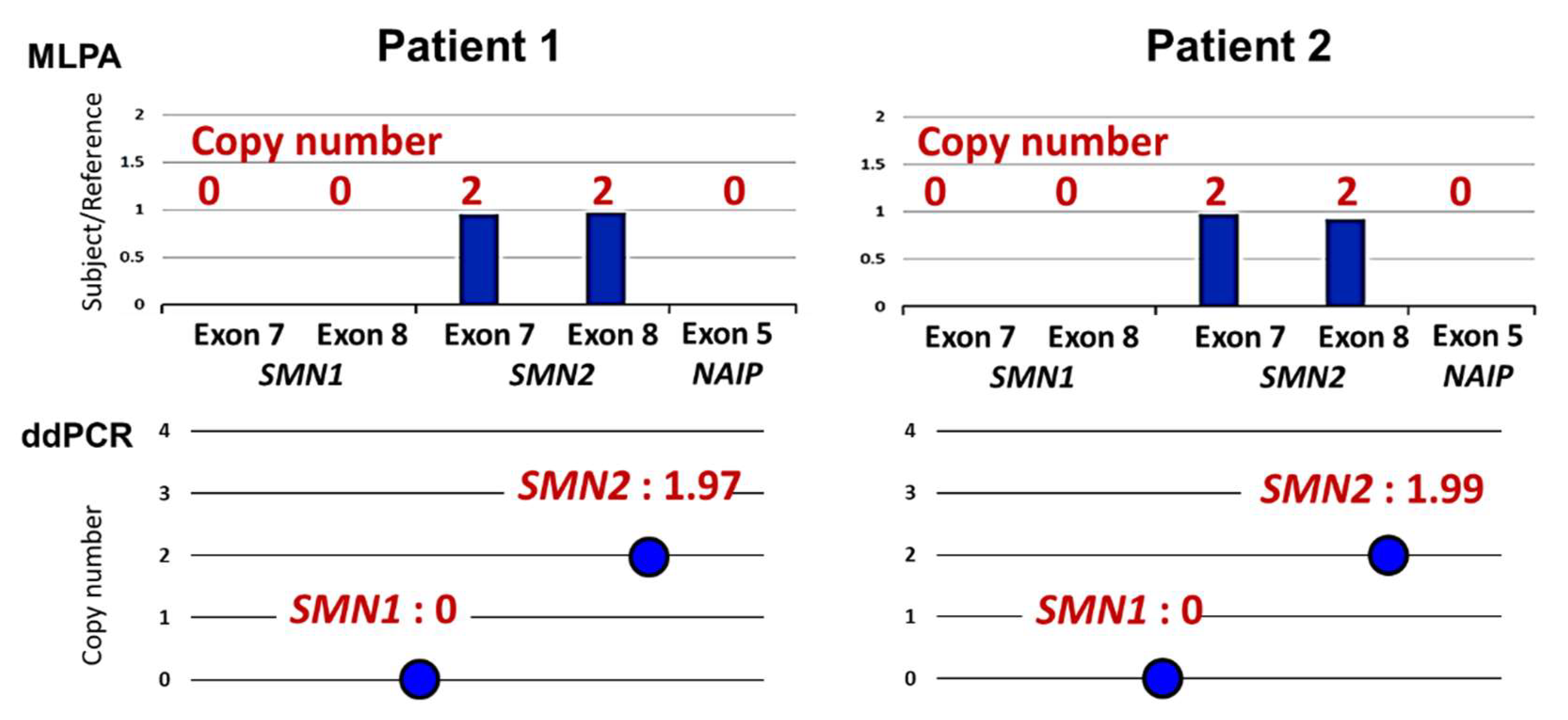 Genes 13 02110 g002 Genes 13 02110 g002