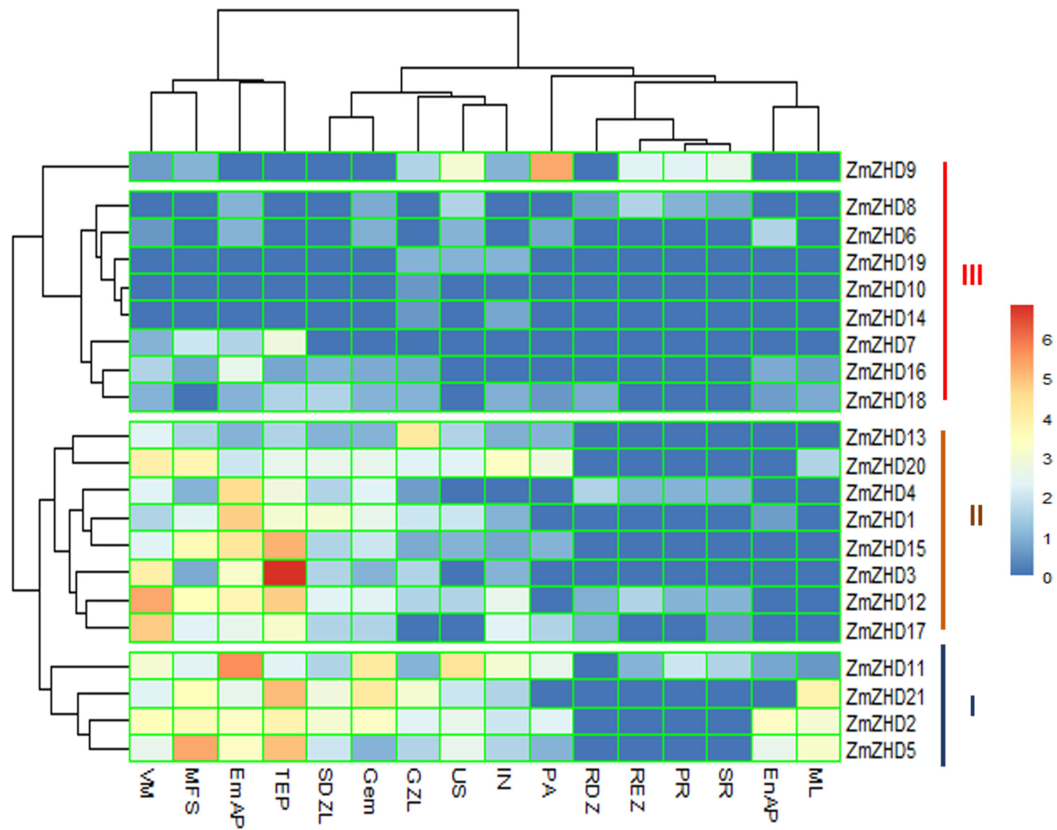Genes 13 02112 g008 Genes 13 02112 g008