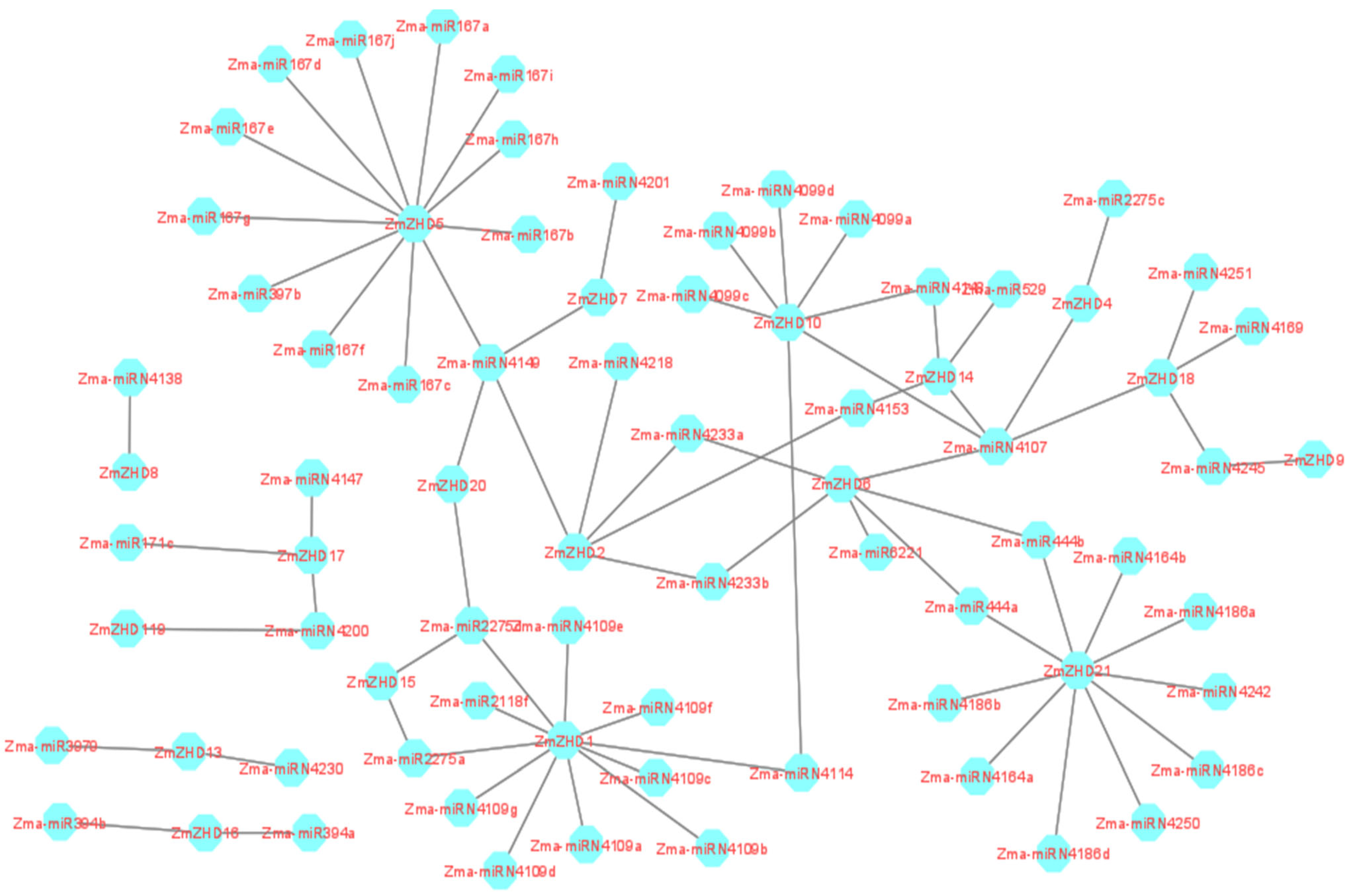 Genes 13 02112 g009 Genes 13 02112 g009