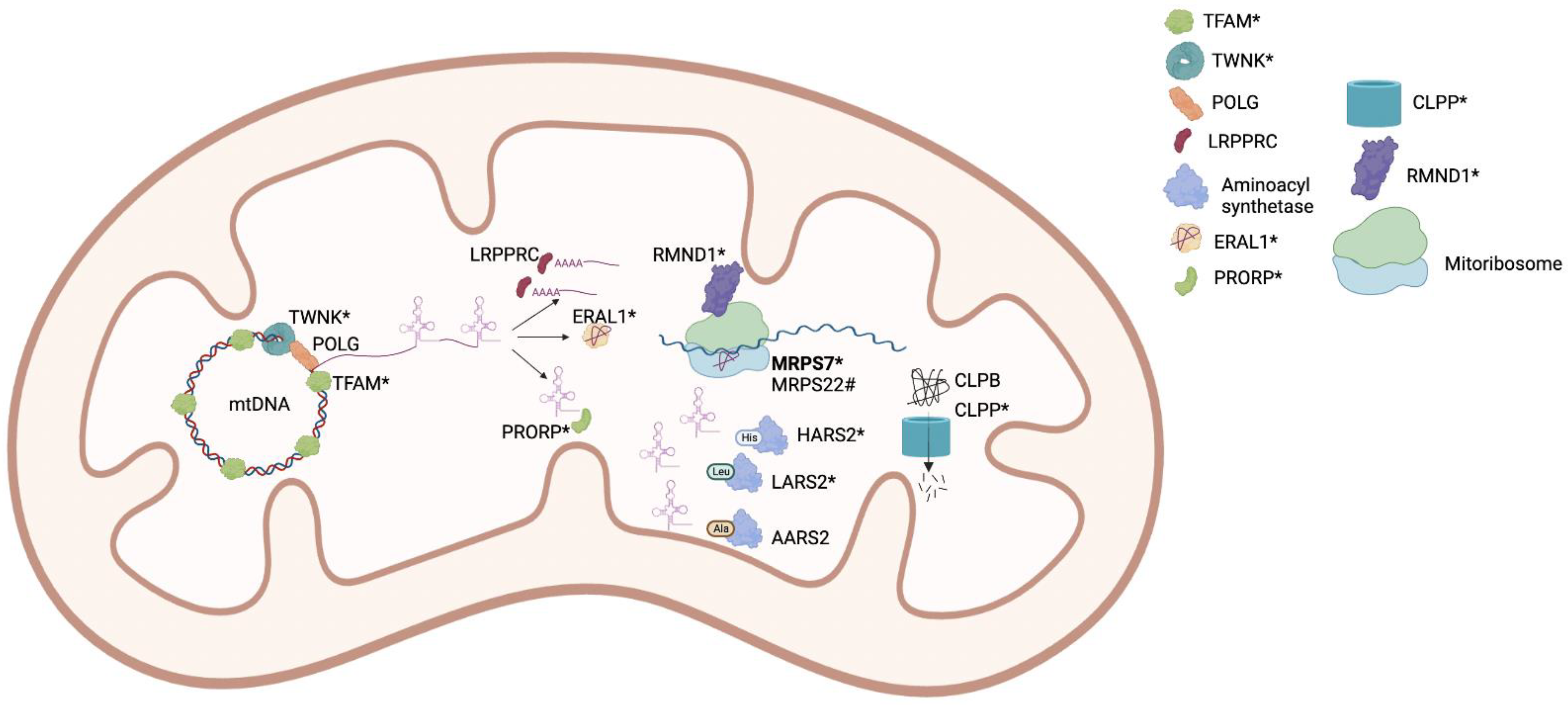 Genes 13 02113 g002 Genes 13 02113 g002