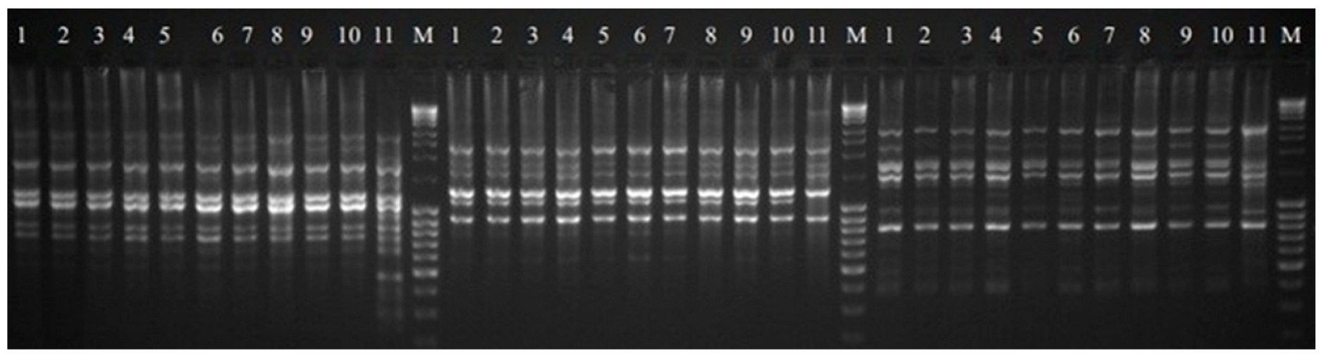 Genes 13 02114 g003 Genes 13 02114 g003