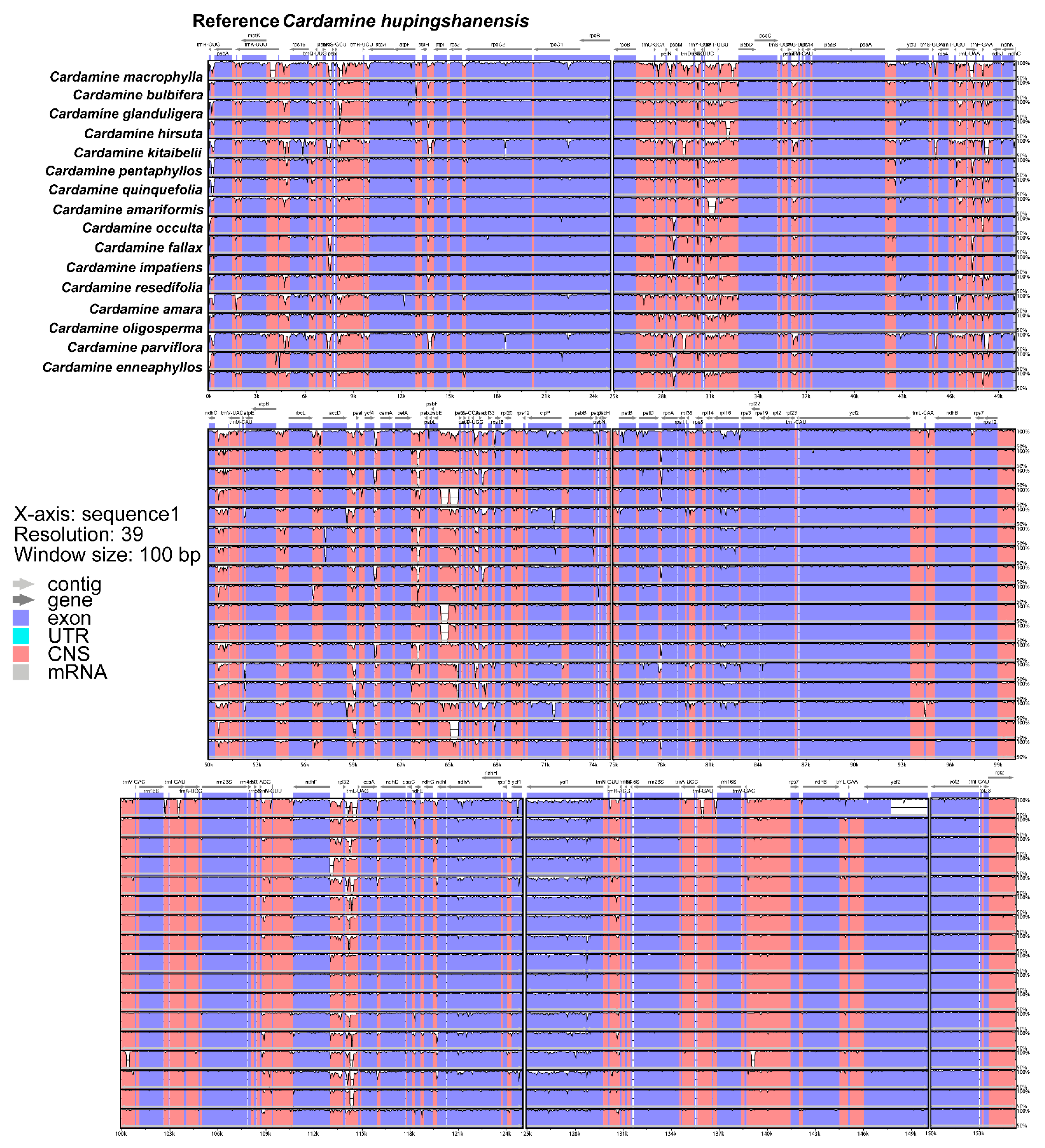Comparative Analysis of the Chloroplast Genome of Cardamine