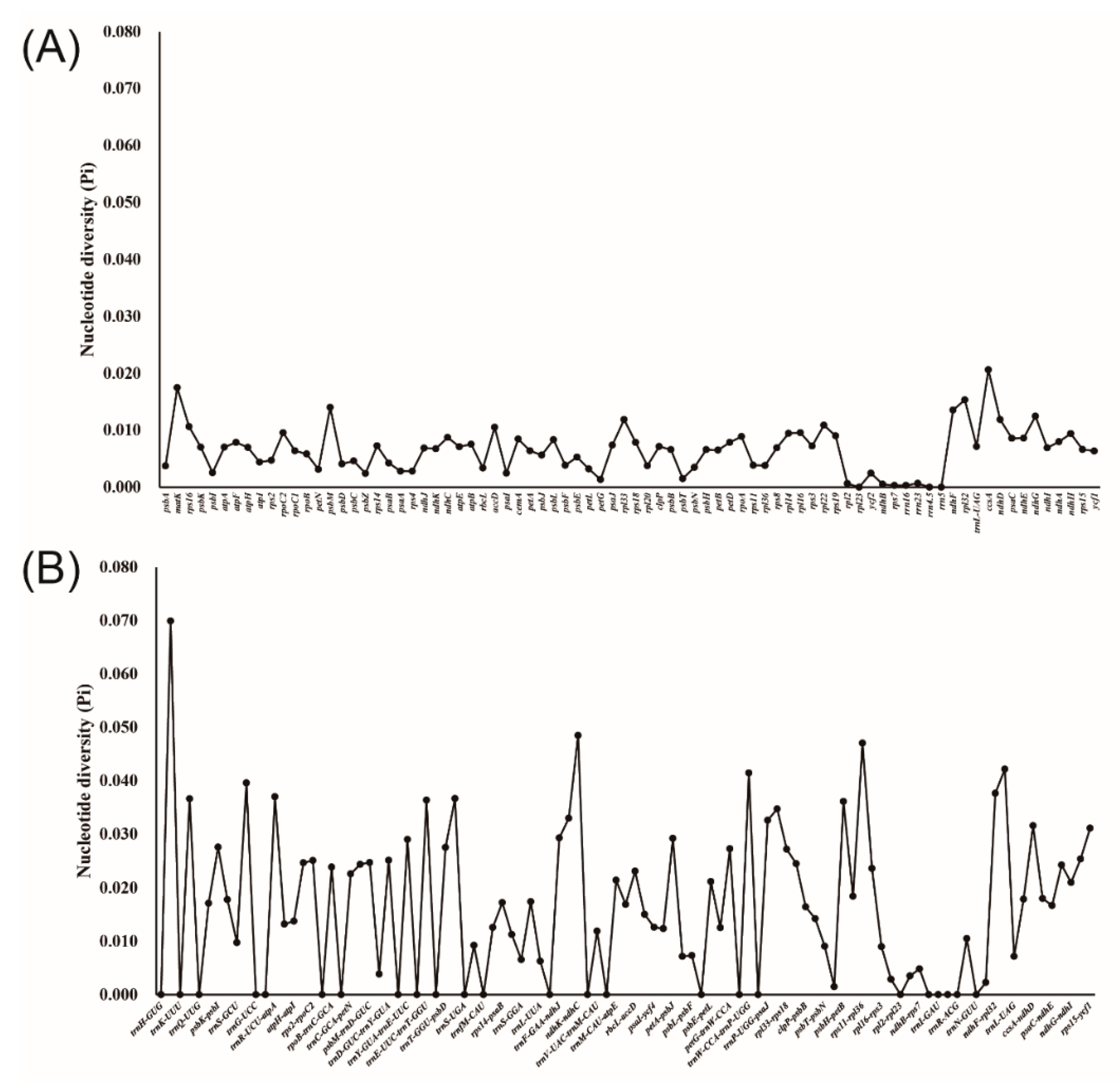 Genes 13 02116 g003 Genes 13 02116 g003