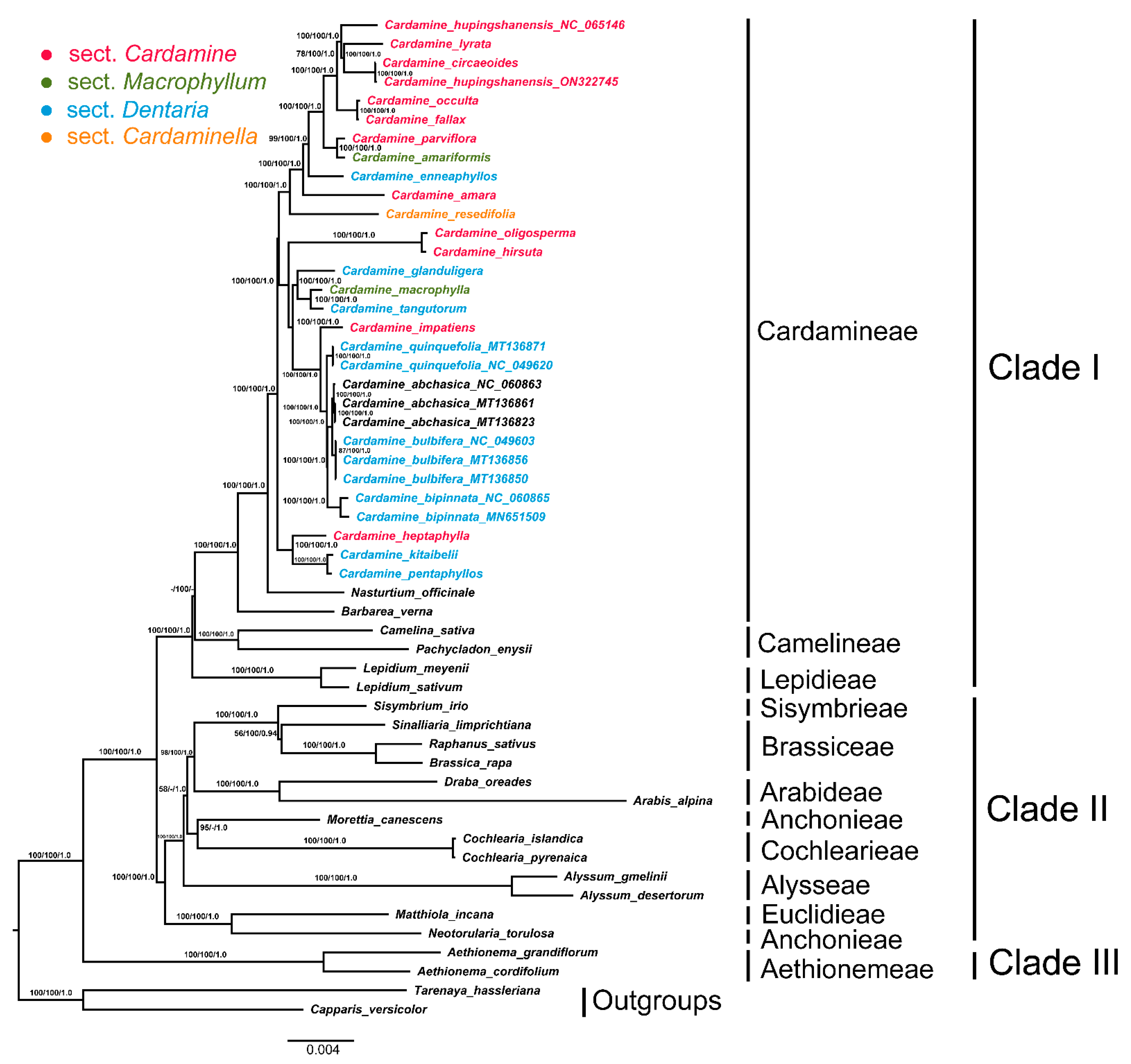 Genes 13 02116 g006 Genes 13 02116 g006