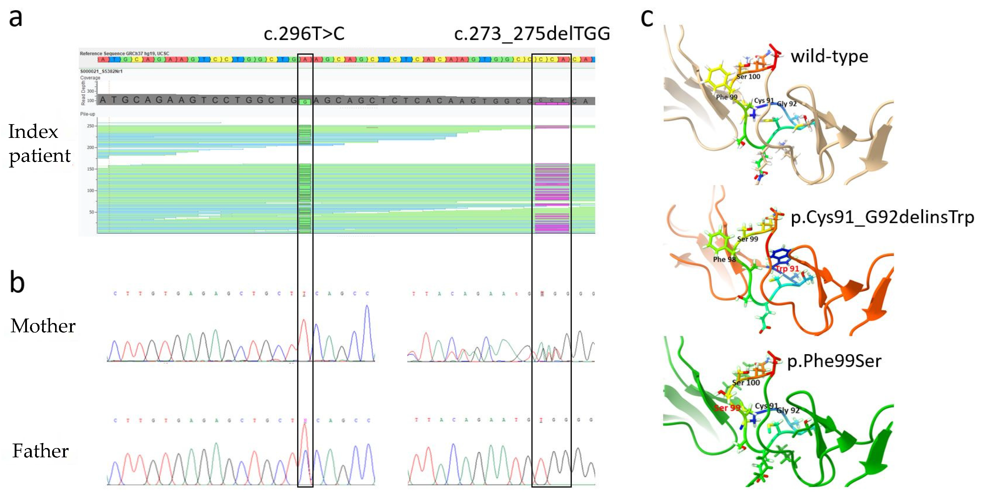 Genes 13 02119 g003 Genes 13 02119 g003