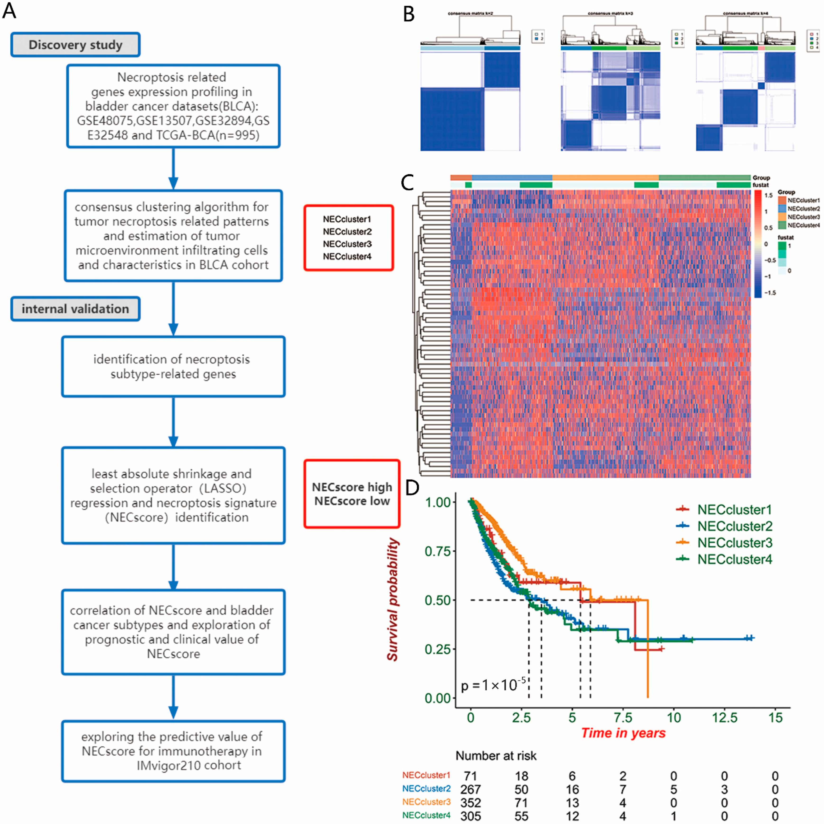 Genes 13 02120 g001 Genes 13 02120 g001