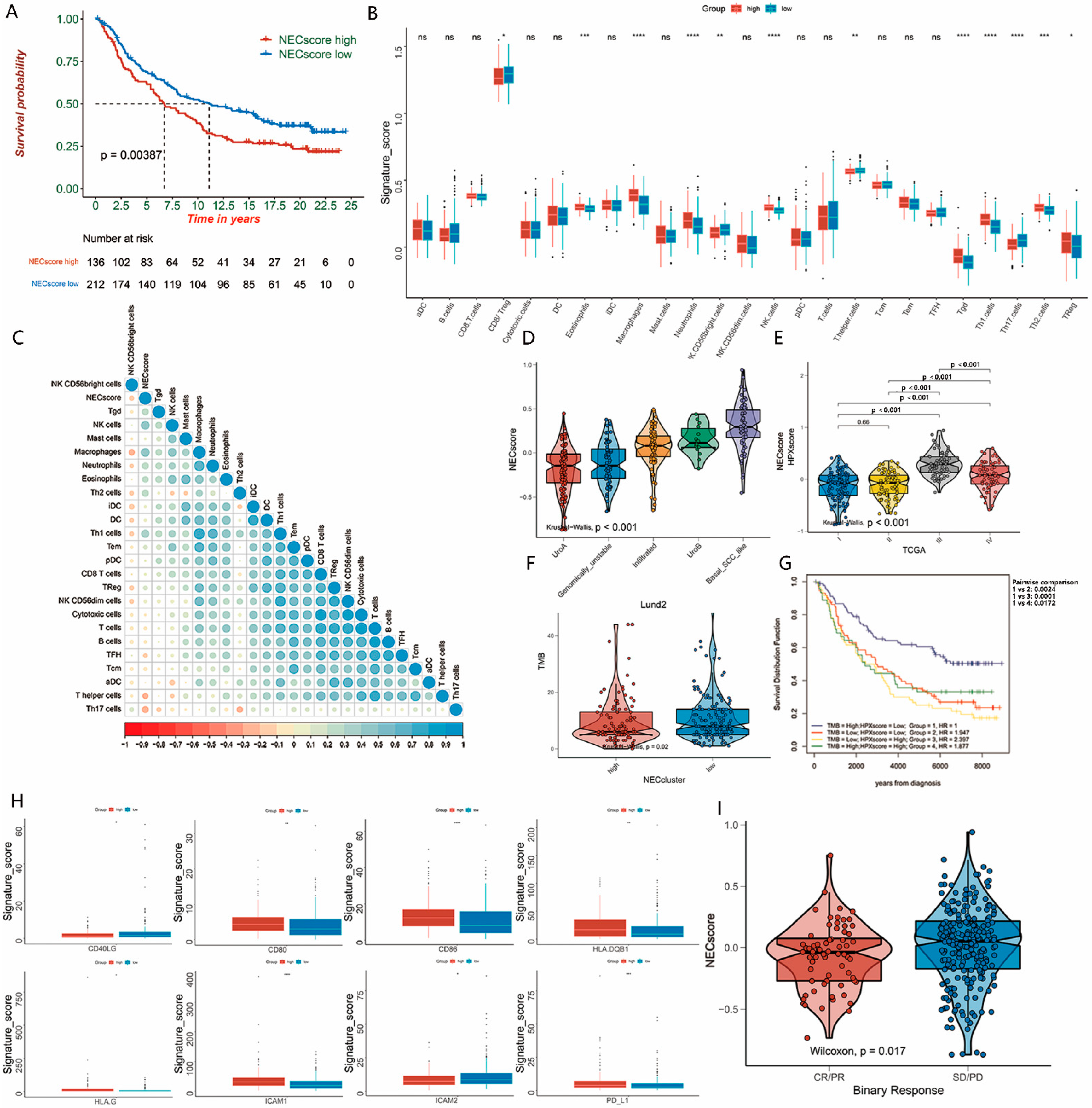 Genes 13 02120 g005 Genes 13 02120 g005