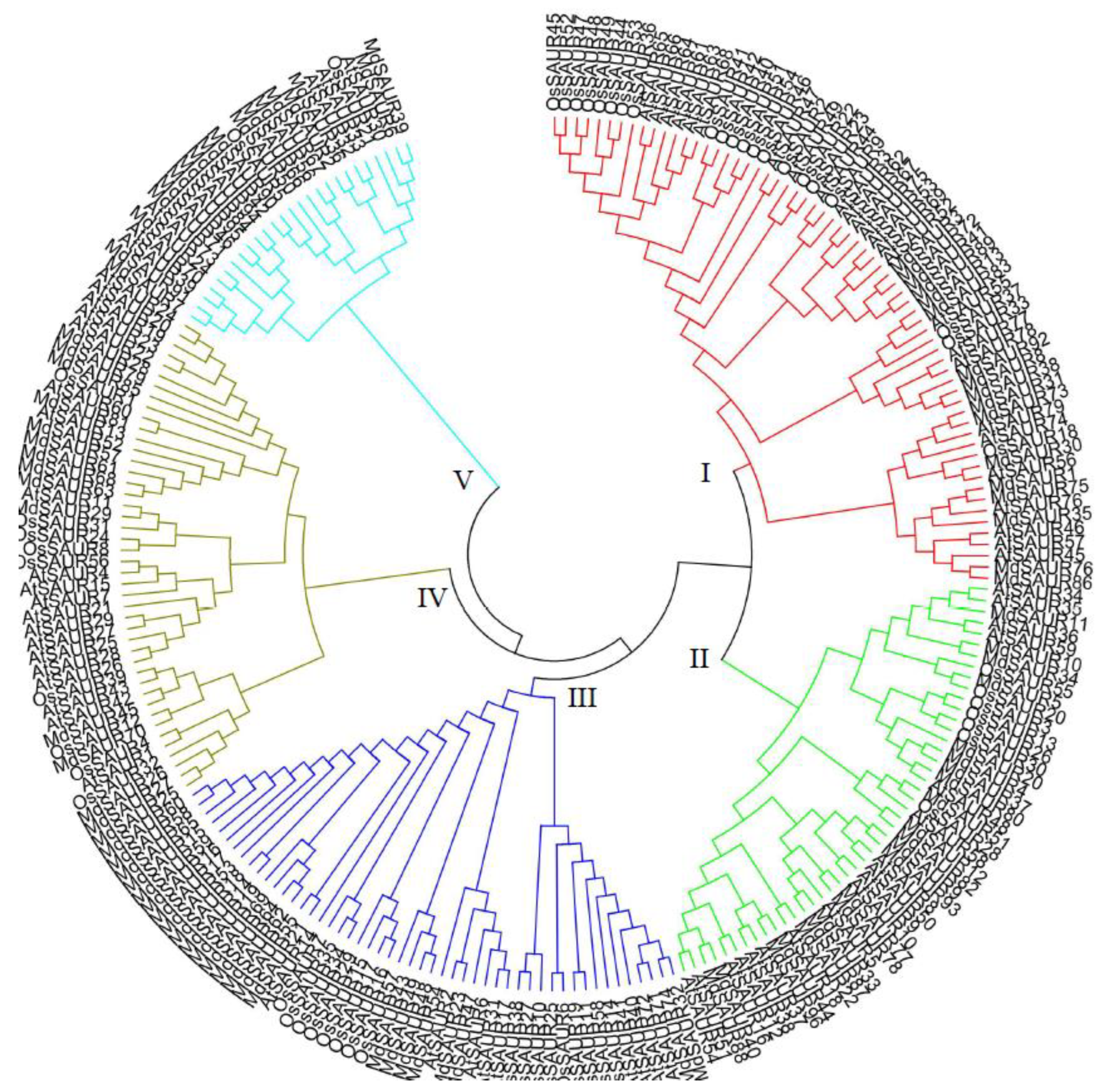 Genes 13 02121 g001 Genes 13 02121 g001