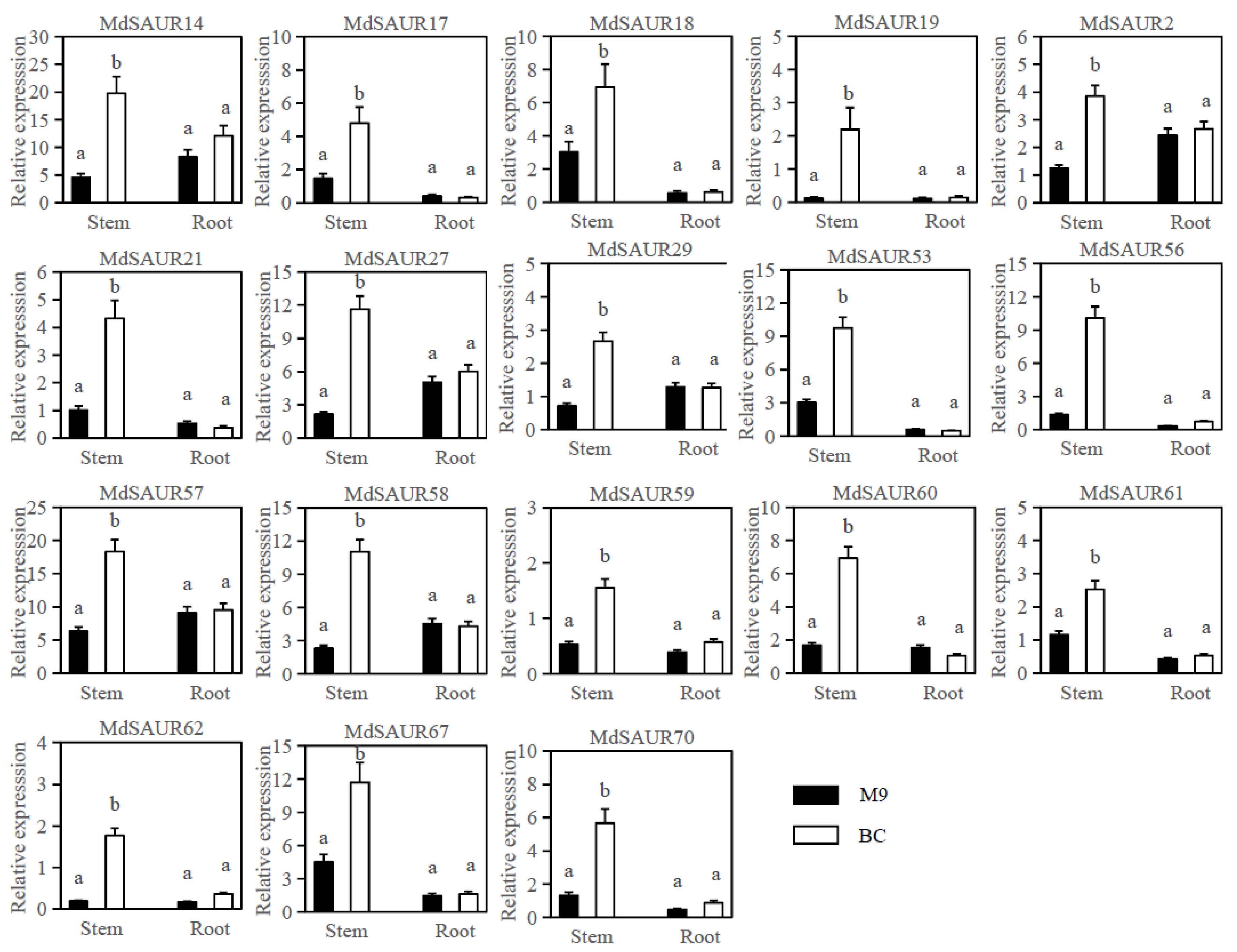 Genes 13 02121 g003 Genes 13 02121 g003