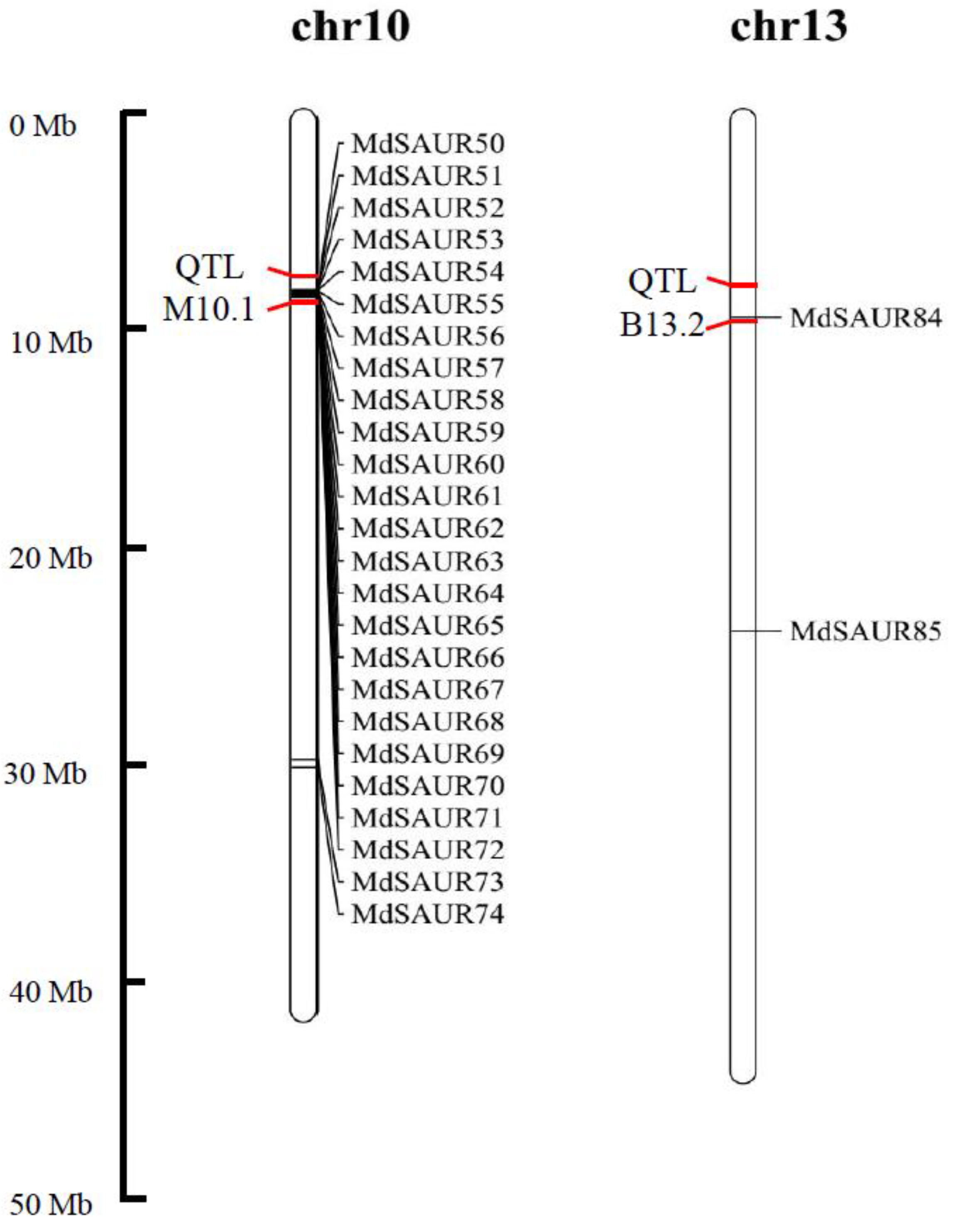 Genes 13 02121 g004 Genes 13 02121 g004